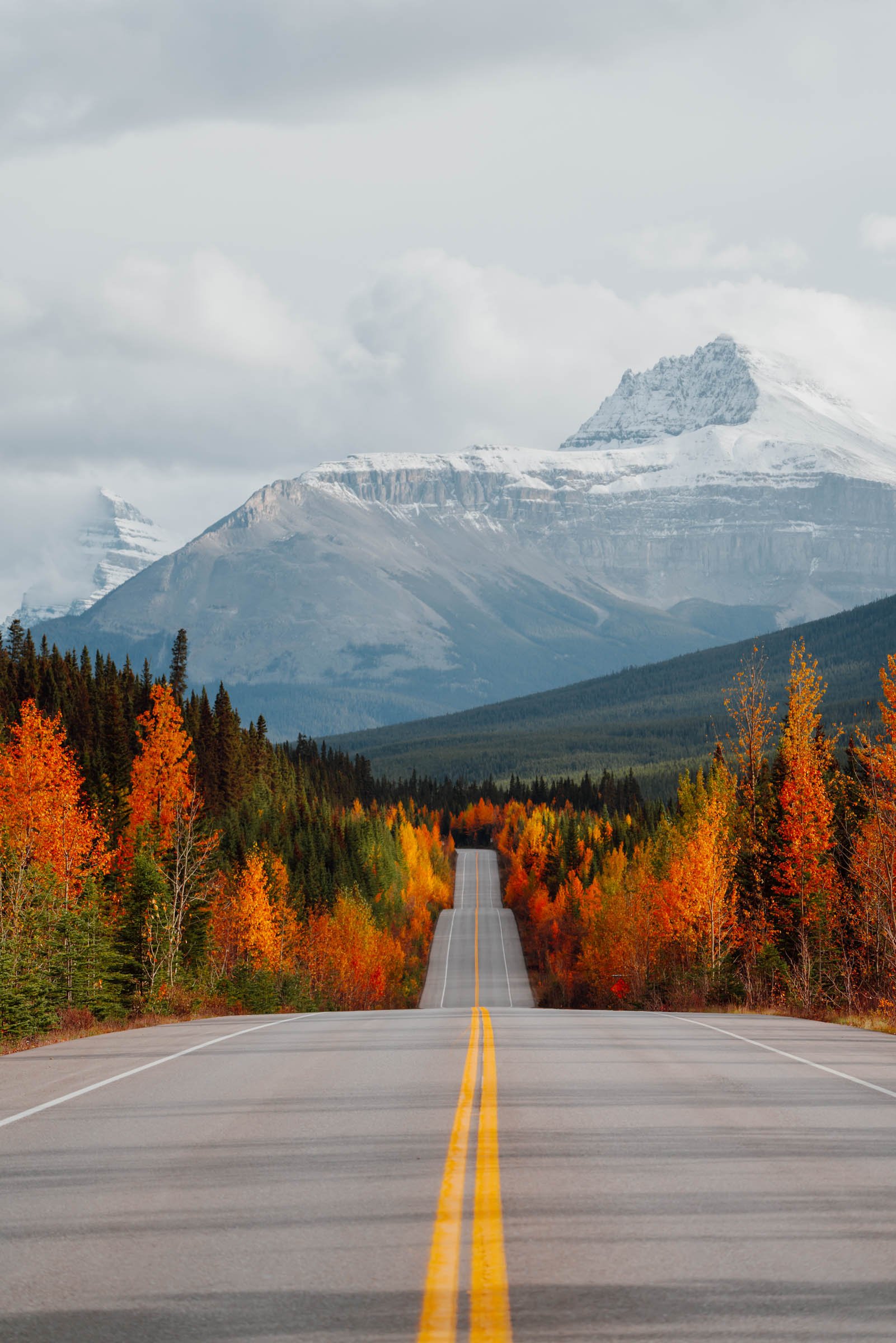 Icefields Parkway