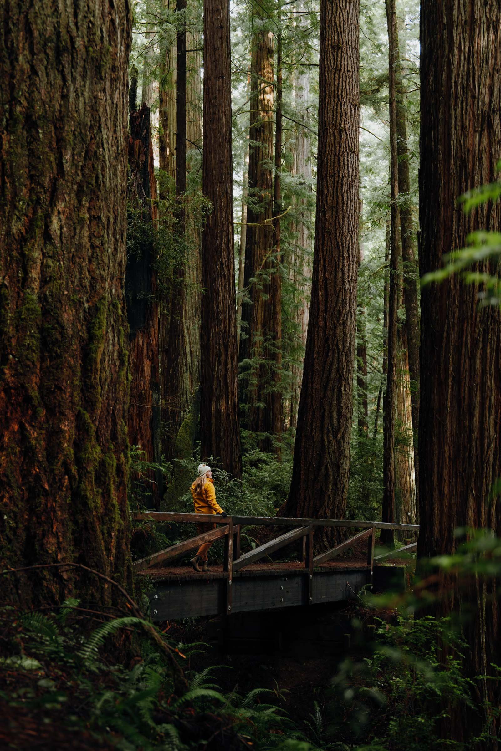 Karl Knapp Trail