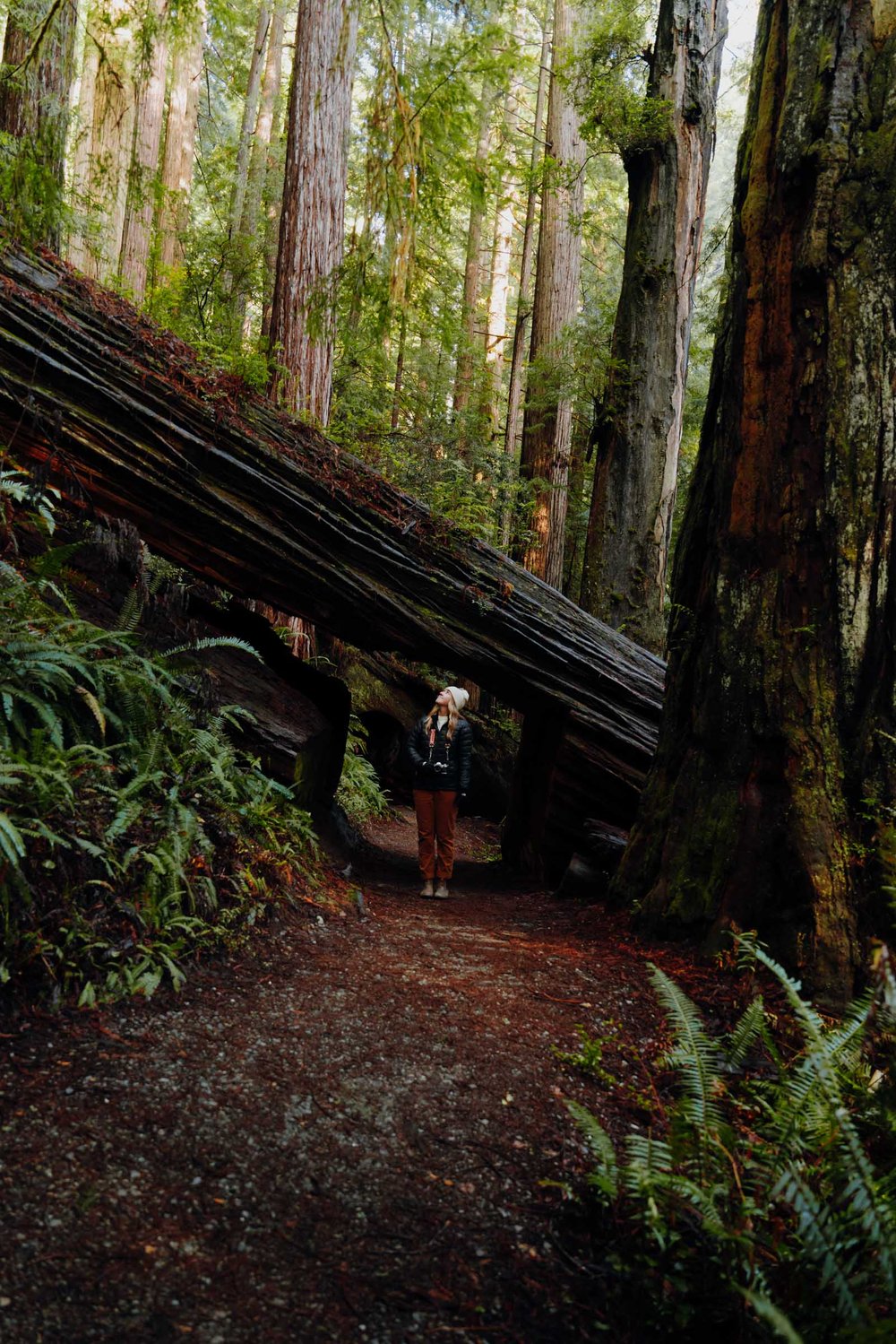 Karl Knapp Trail