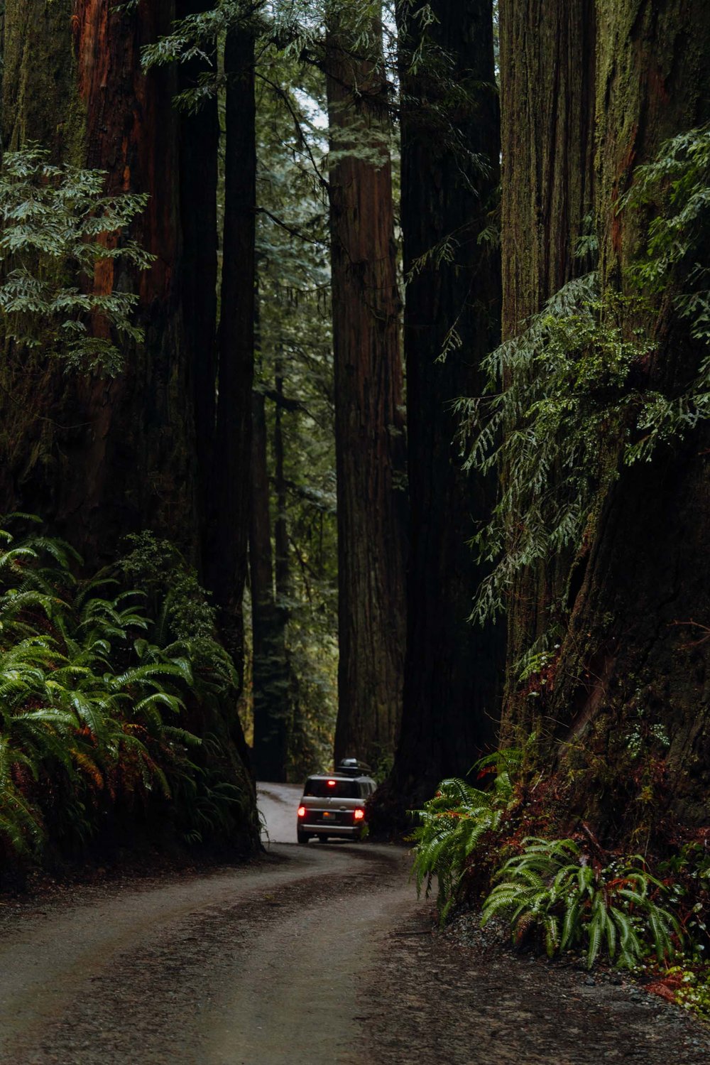 Stout Memorial Grove Trail