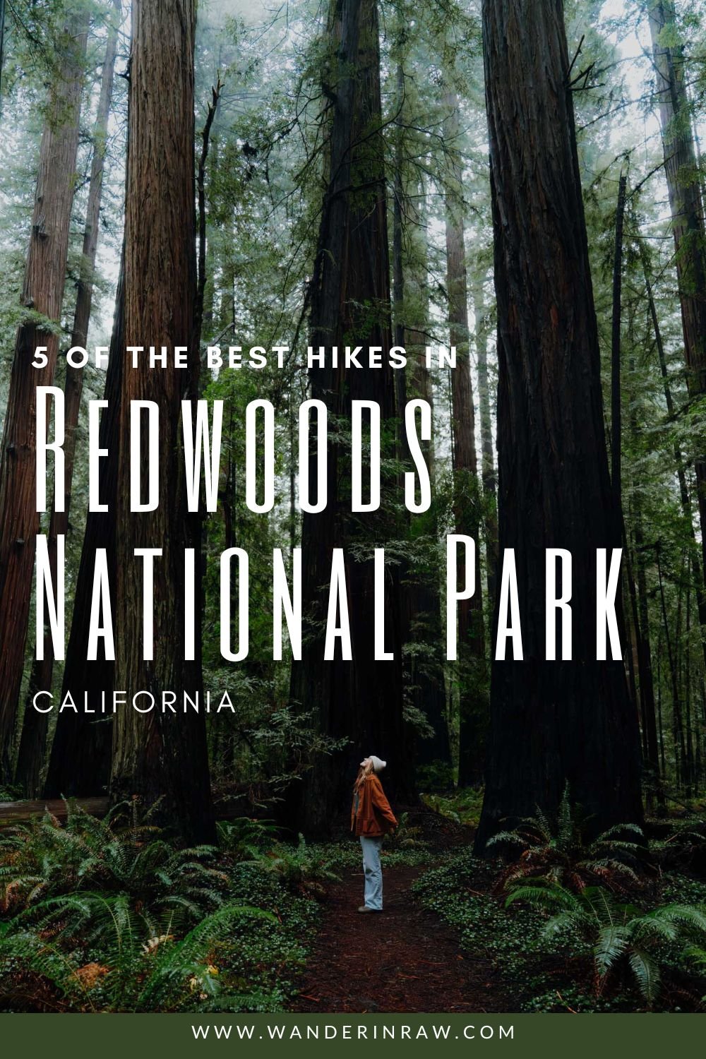 Best Hikes in the Redwoods National Park