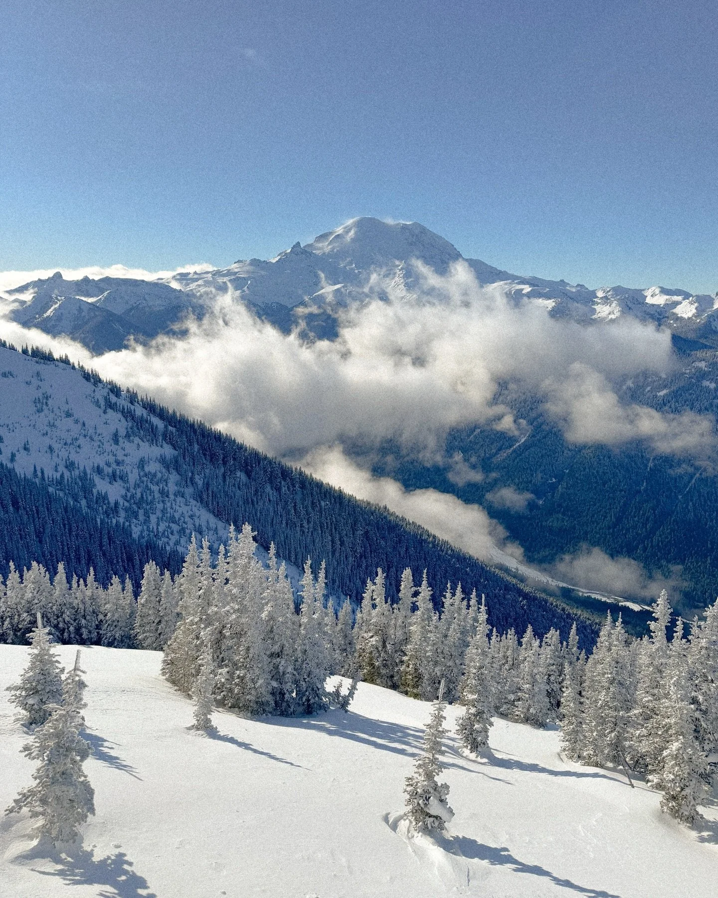 Okay but name something better than a bluebird day with fresh snow 🤤

I also forgot my film camera so I edited these iPhone shots to look like film cuz, I mean, film. 
That&rsquo;s all. 

#snowboard #ski #wa #pnw #crystalmountain