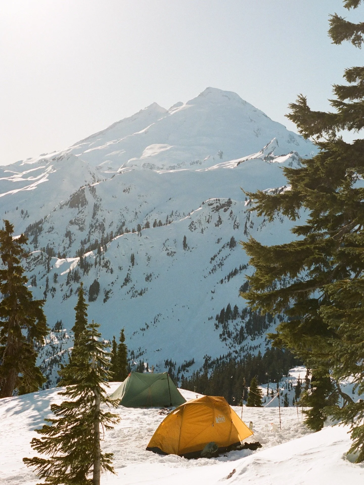 I played film roulette. 🎞️

Because it turns out I haven&rsquo;t developed film in over a year 🥺 I had a bunch of rolls lined up just waiting to take to the lab. I also didn&rsquo;t want to break my bank because film is so expensive of these days :