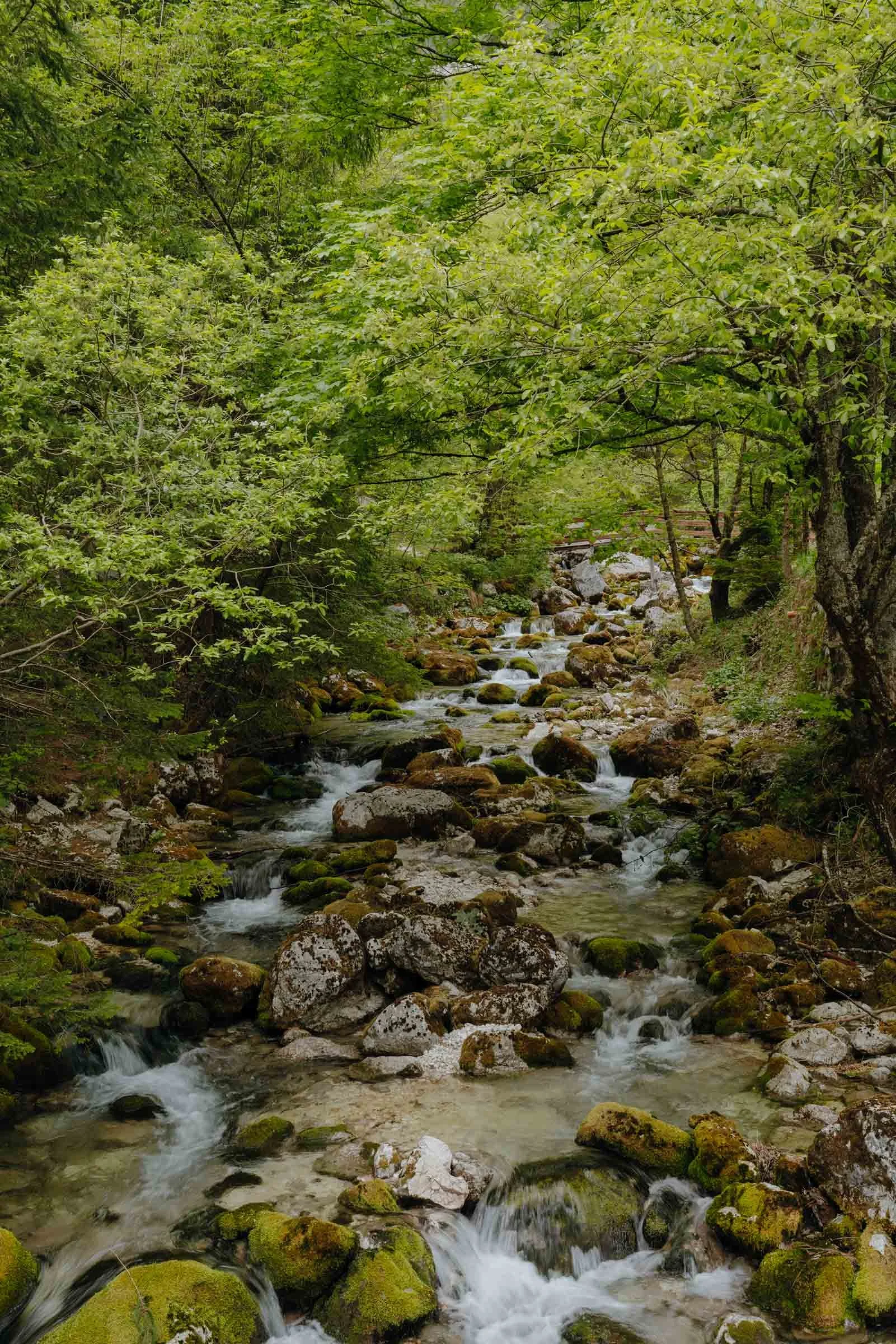 Soca Valley, Kekčeva Domačija, Alpe Adria Trail, Slovenia
