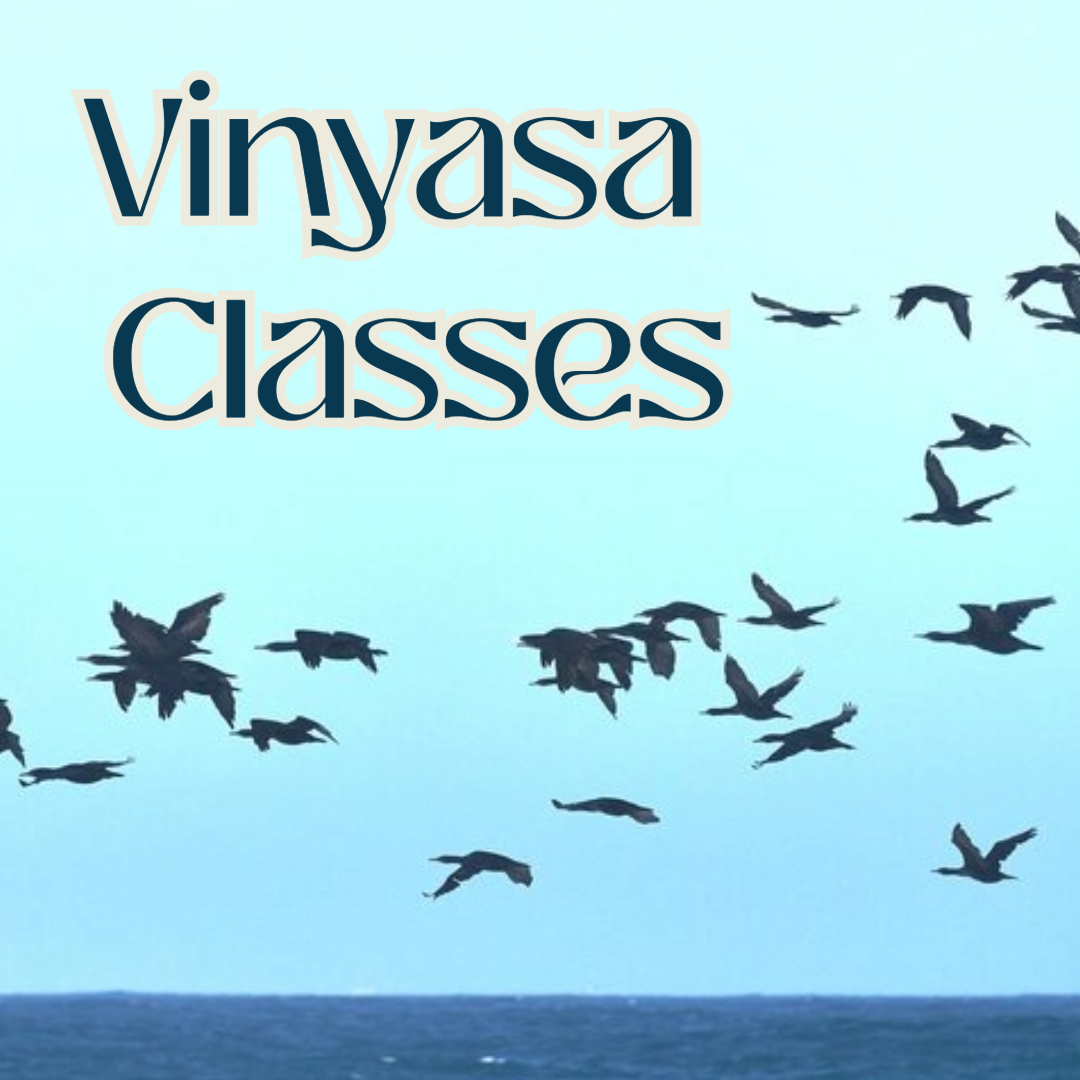 Vinyasa/Flow