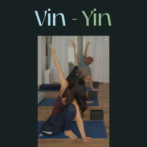 Vin-Yin