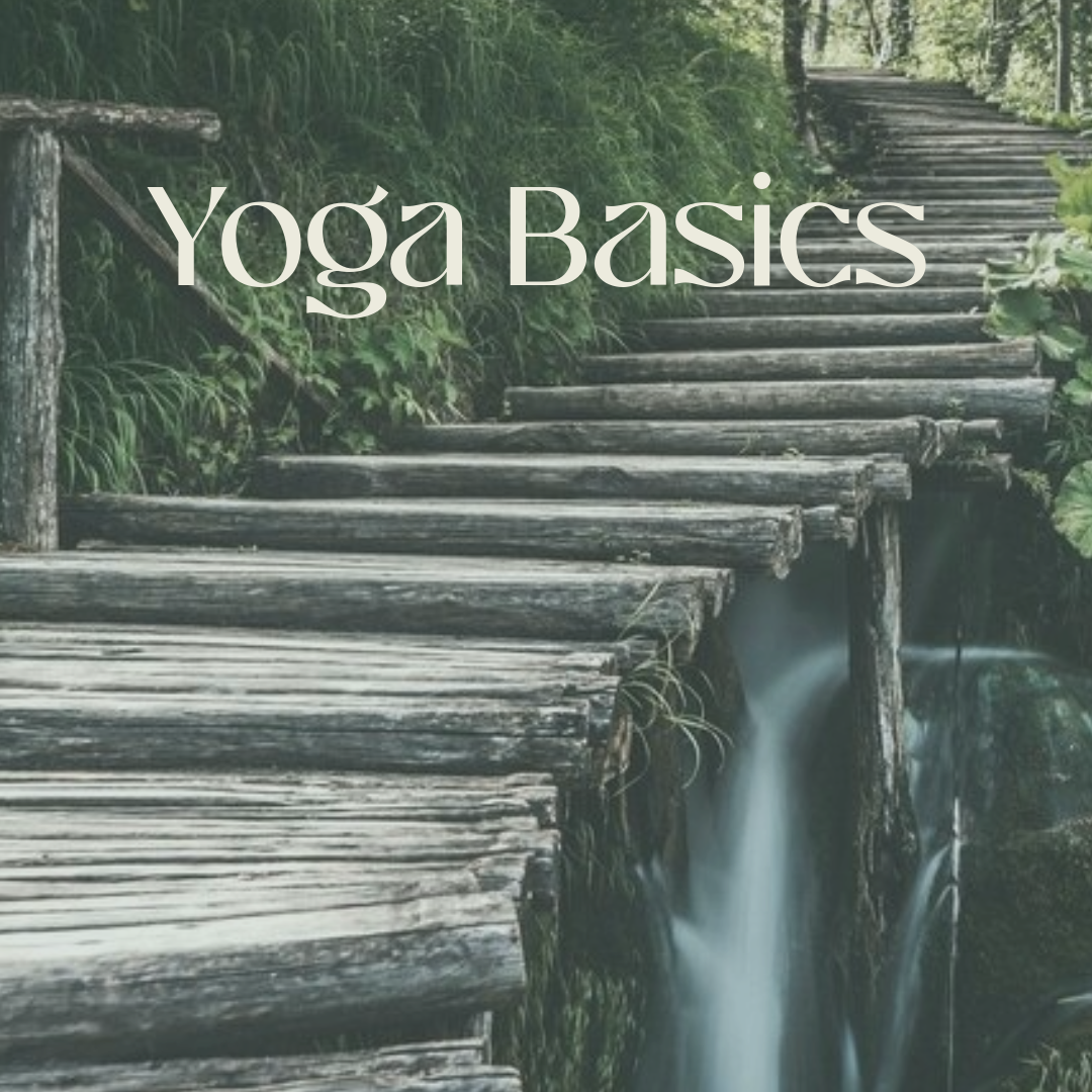 Yoga Basics