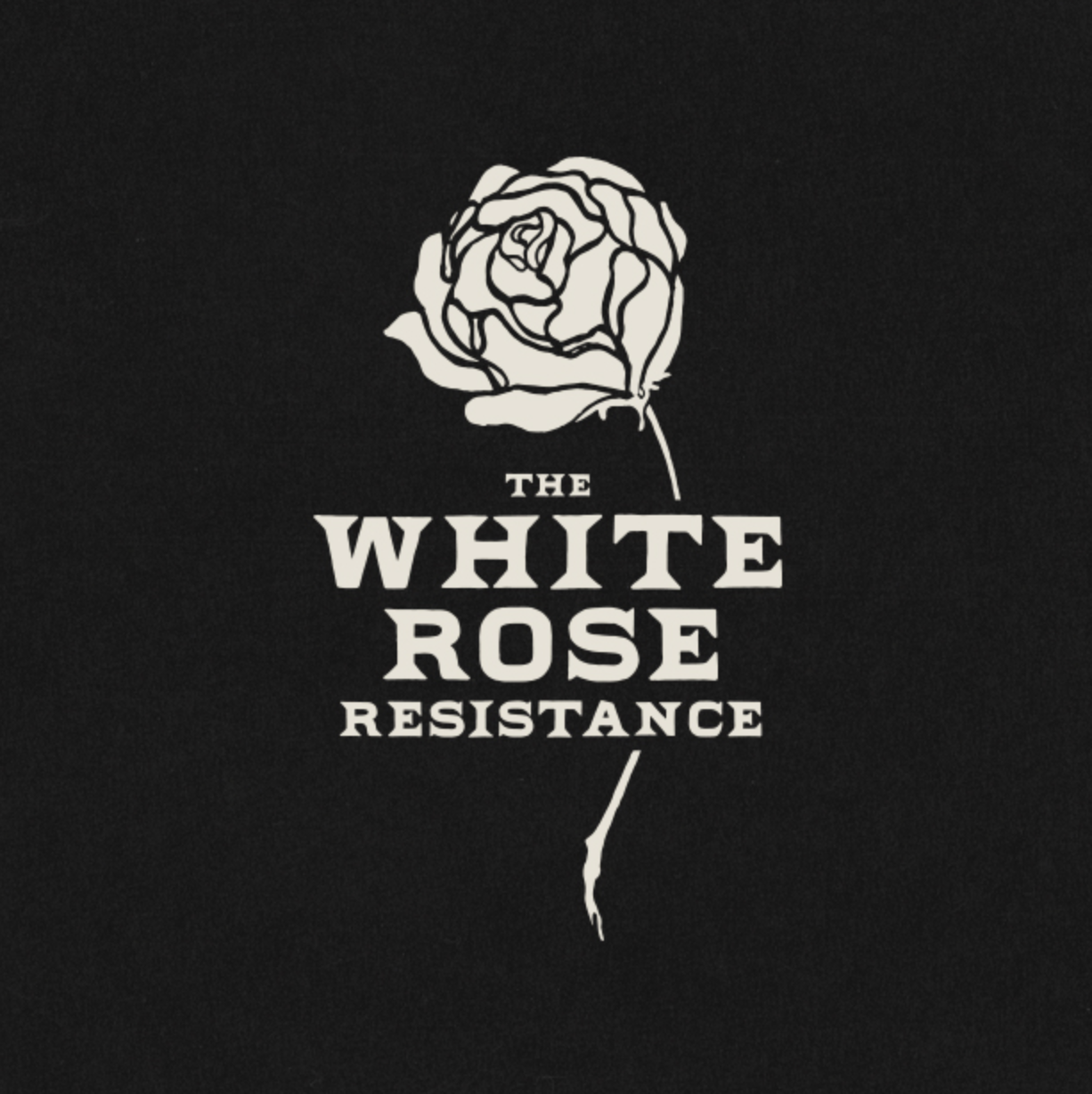 Screenshot 2025-11-12 at 11.17.26 AM.png