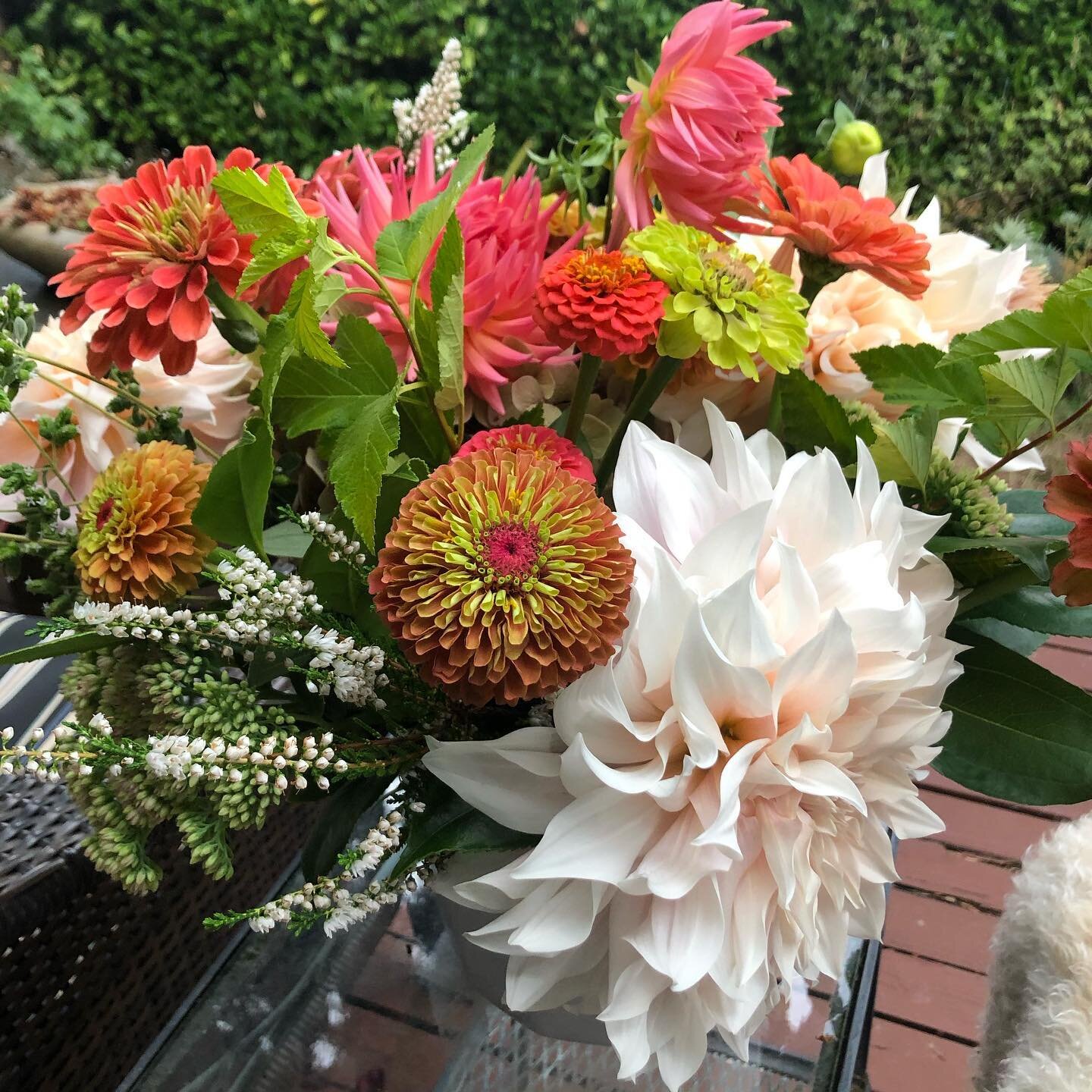 Sometimes it pays to have a floral designer over for dinner 

⁣
.⁣
.⁣
.⁣
.⁣
.⁣
#flowers #beautiful #islandflowers #flowerslovers #flower #flowersofinstagram #summer #beauty #flowerphotography #naturephotography #florist #garden #floral #nature #flowe