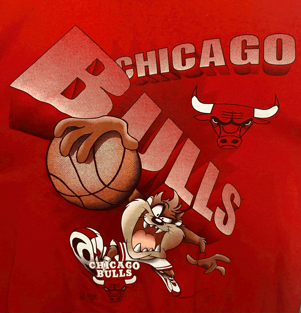 1995 Chicago Bulls Taz T-Shirt — Alley Cat Vintage