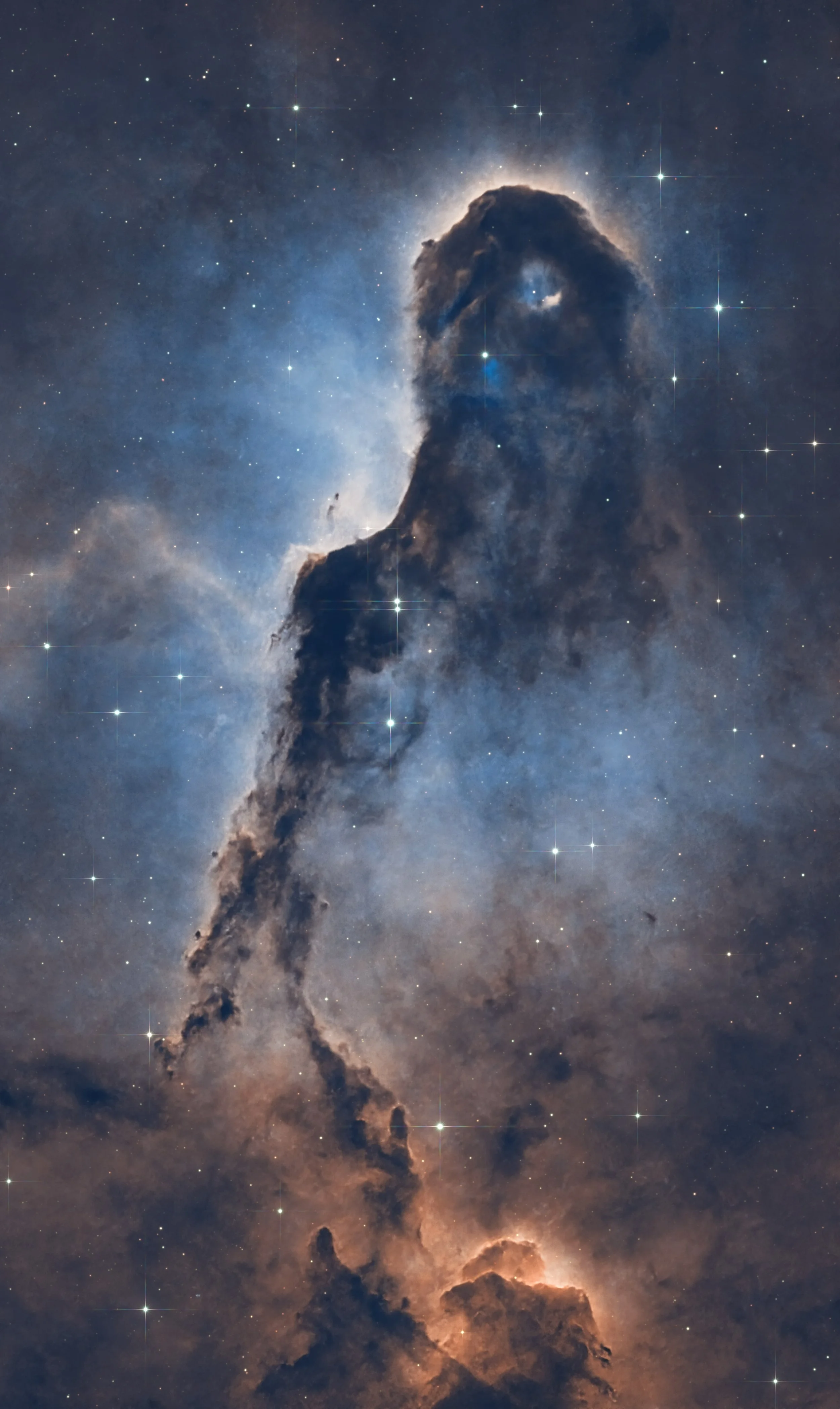 trunk3.jpg
