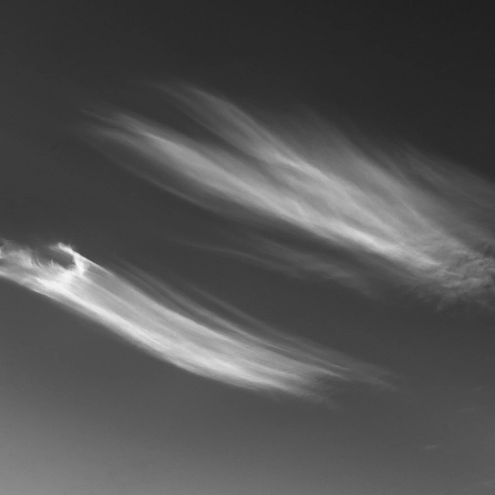 nuage3B%26NSMALL.jpg