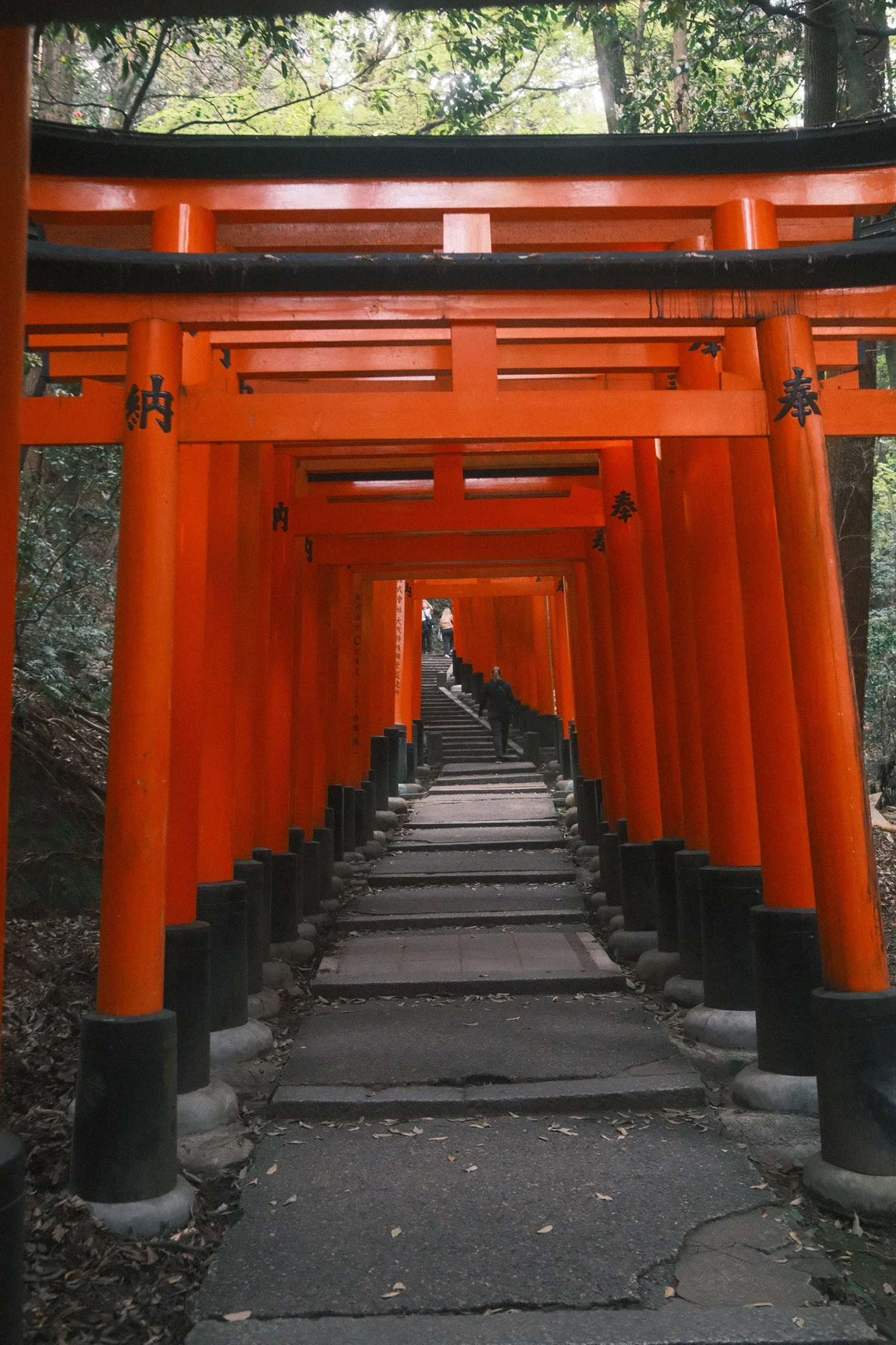 DSCF6050.JPG