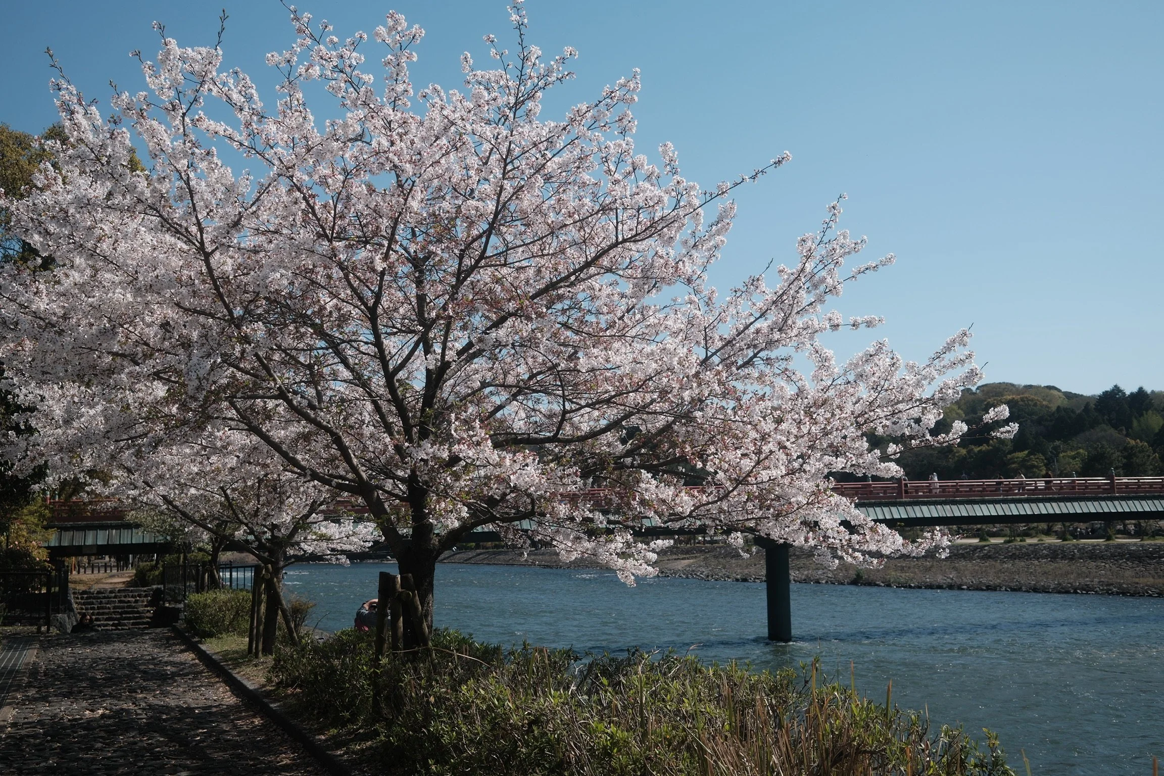 DSCF5842.JPG