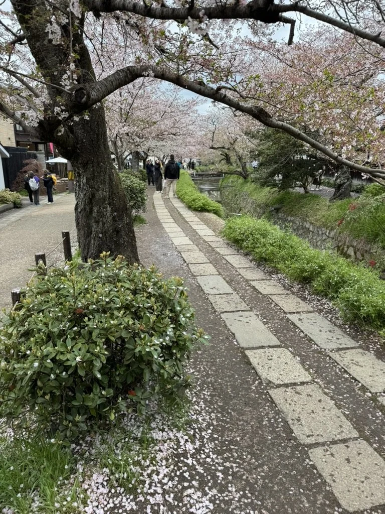 424D0809-0C20-4B1D-856E-A321F31FD880_1_105_c.jpeg
