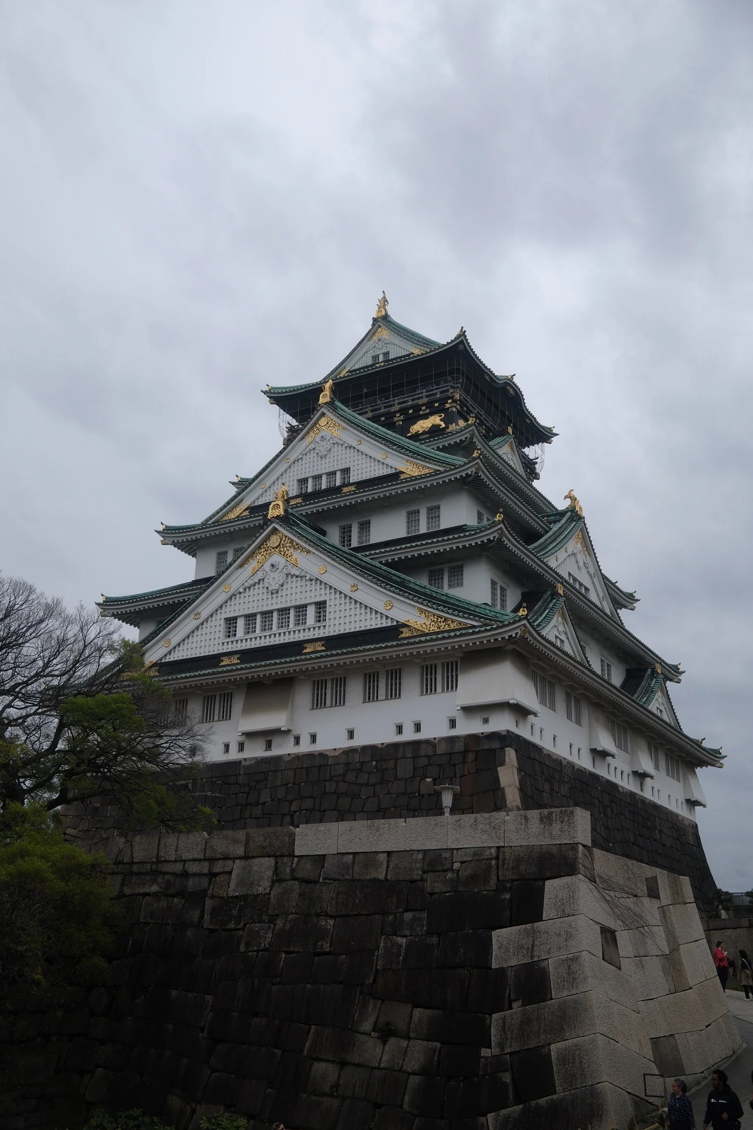 DSCF6203.JPG