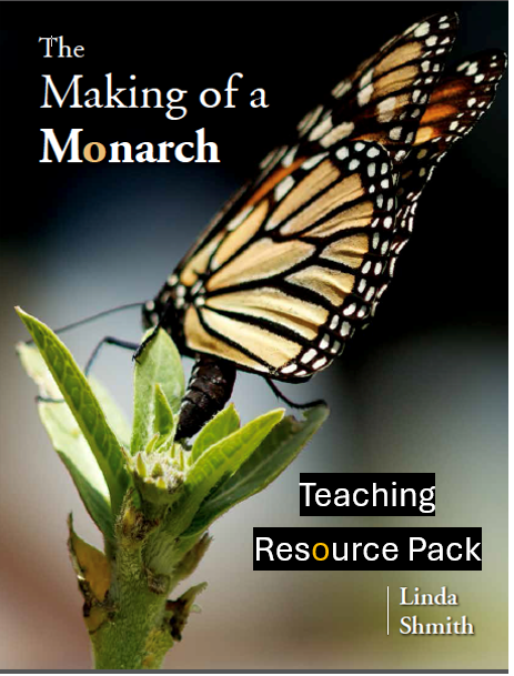 Teaching Res Pack Header page.png