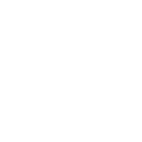 Hi Rise Services