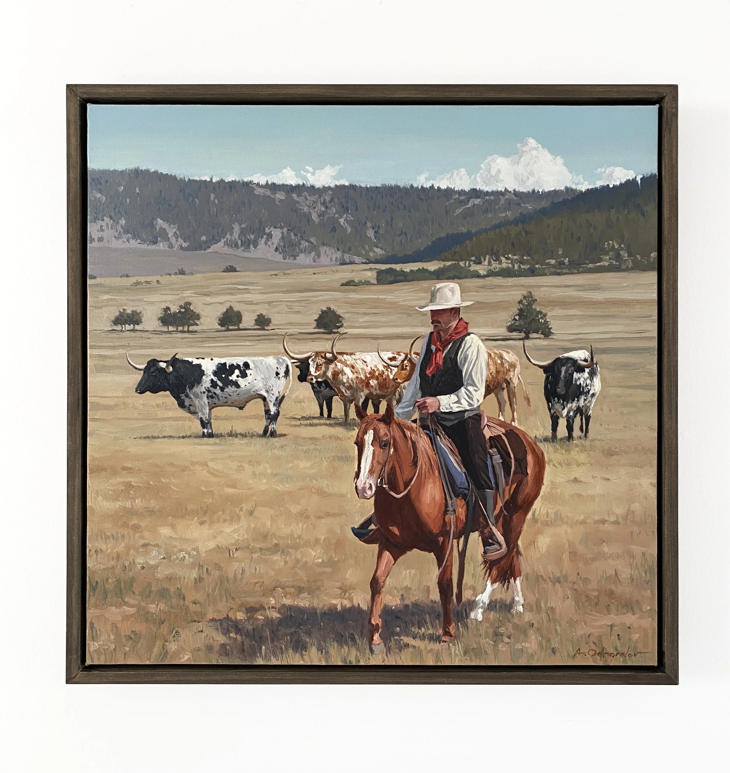 "Cattleman" 20x20, Oil on canvas, 2026, Available