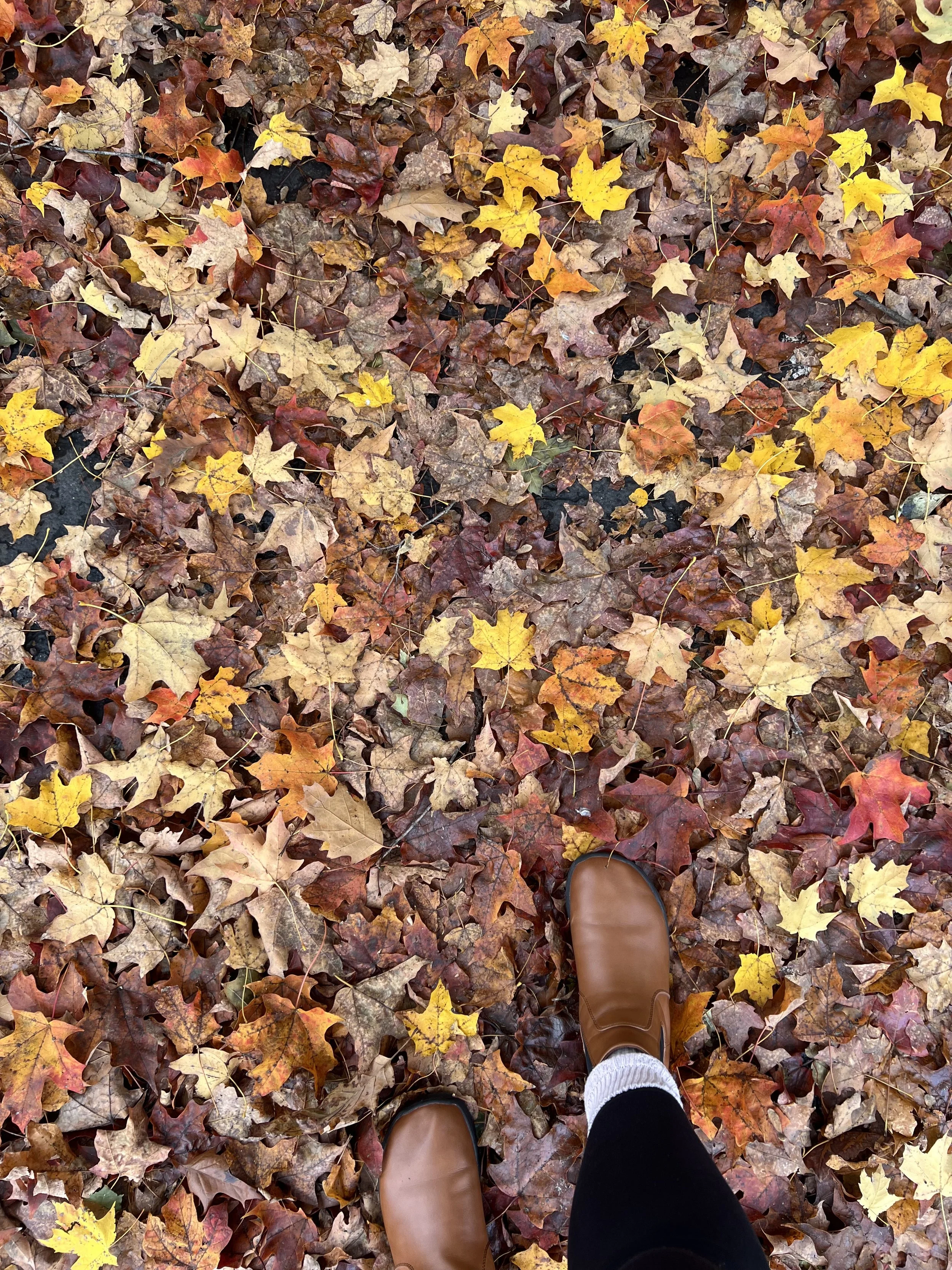 Brown boots standing among fallen autumn leaves, symbolizing grounding, embodiment, and presence.