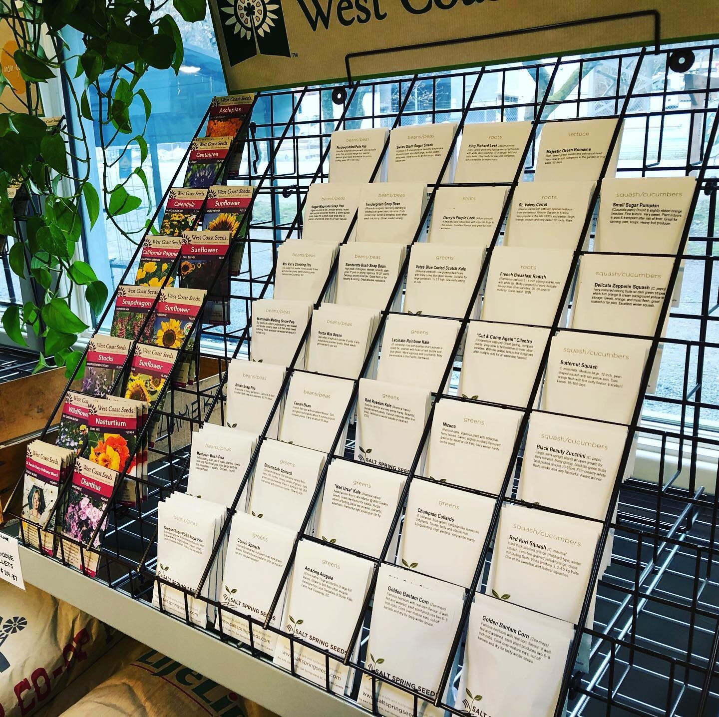 #saltspringseeds #seeds #gardens #gardening #heirloomseeds #great  We now stock wonderful seeds from SaltSpring Seeds!  Lots to choose from:) #happyfriday