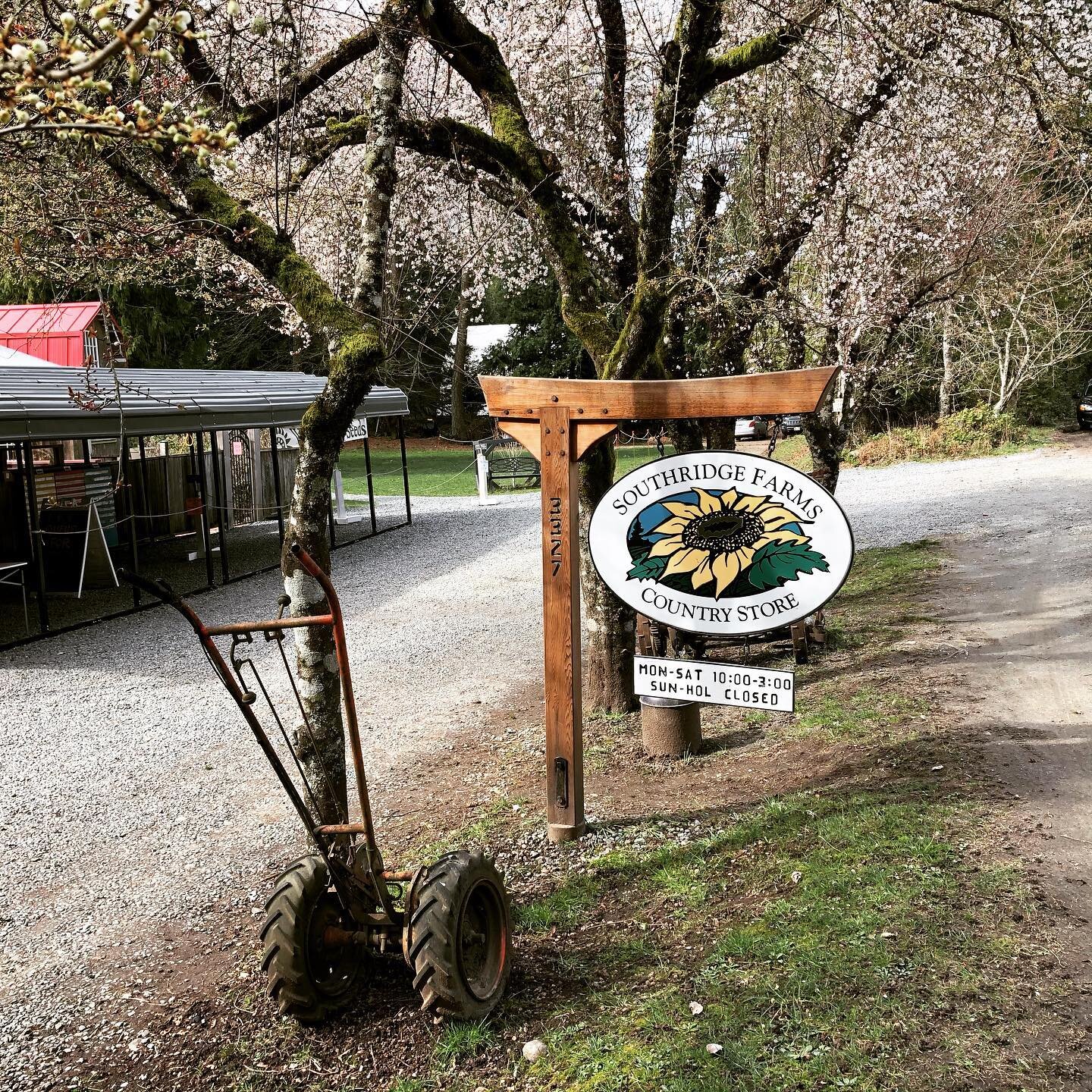 #spring #blooming #fruittrees #grocerystore #countrystore #enjoythelittlethings  Can you see it?!?!? The trees are starting to bloom, this is such a special time of year:). Lots in stock today if you want to check out the blooms:). Happy Tuesday🤗🌿?