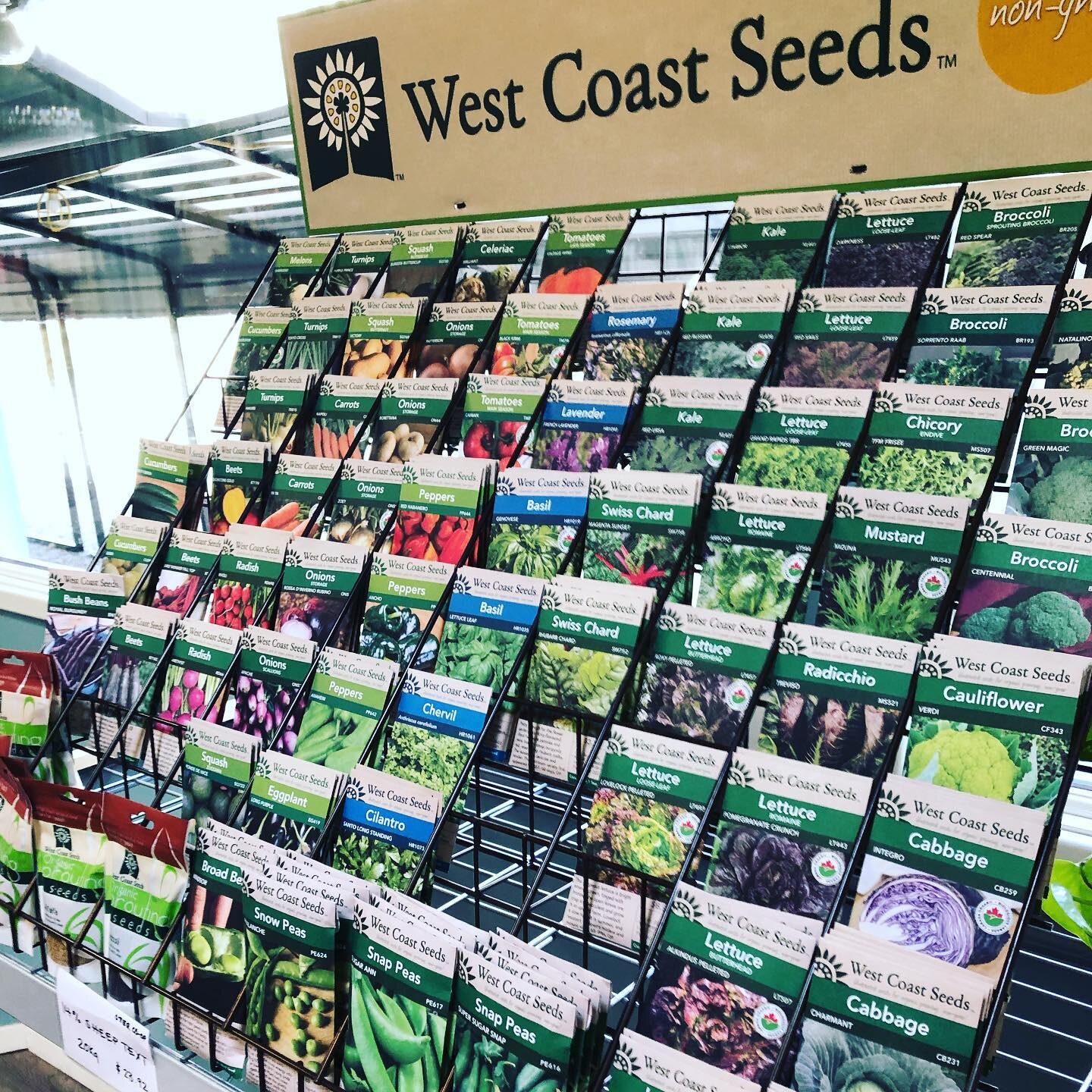 #seeds #garden #snacktime #teatime. We just got in another bunch of seeds from @saltspringseeds and @westcoastseeds  lots for you to plant in this sunny weather and some great treats to enjoy with your tea when you are done #happytuesday