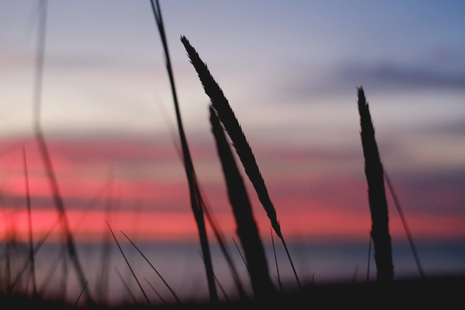 Travelogue: Lunan Bay, Scotland