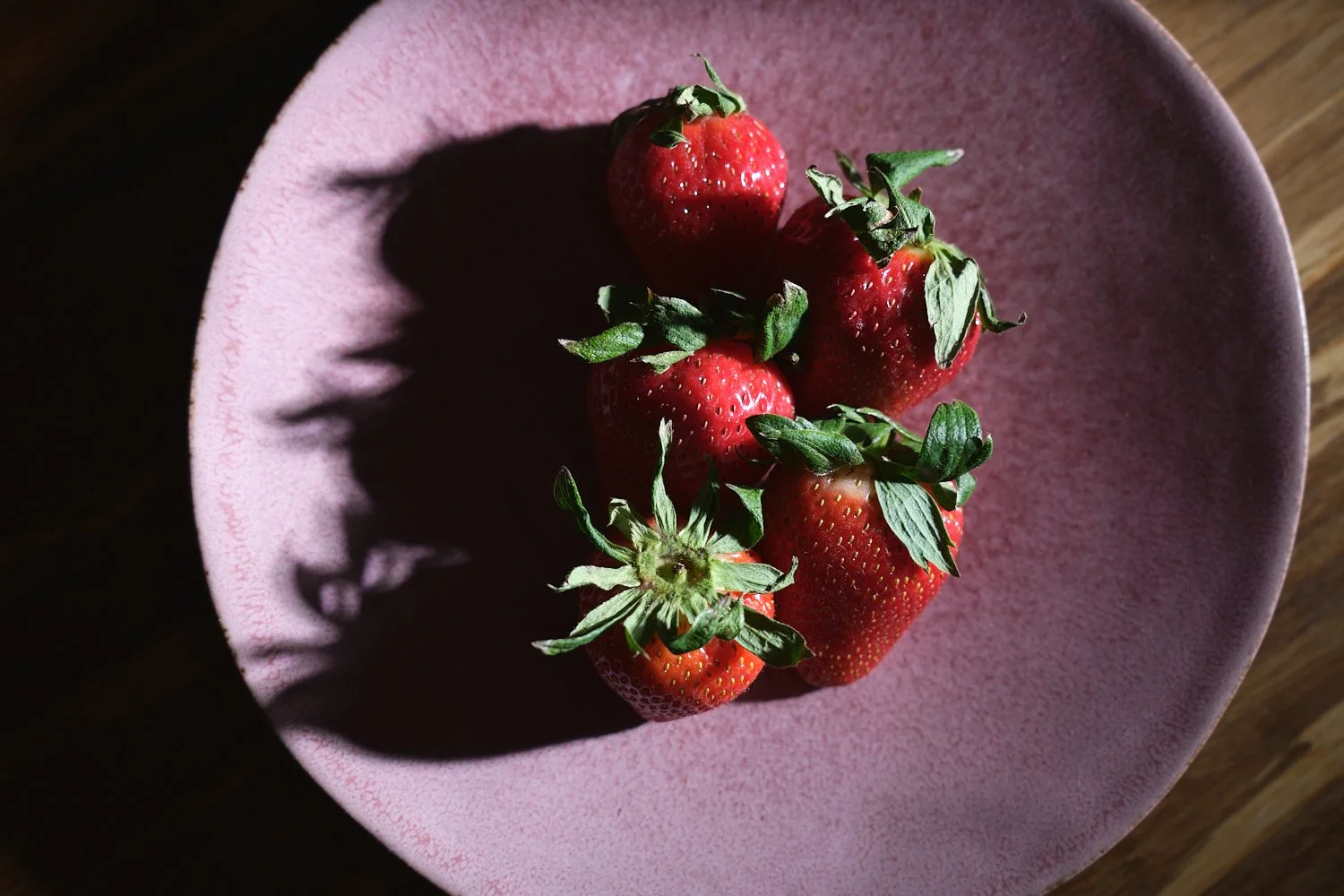 Food Portraits with One Light
