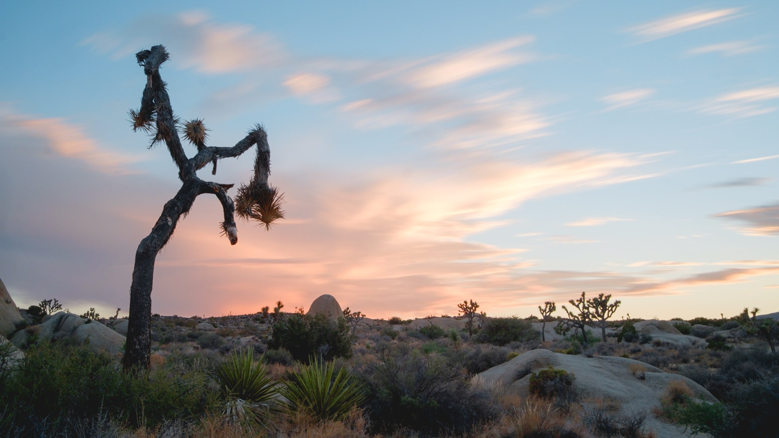 Joshua Tree National Park, California