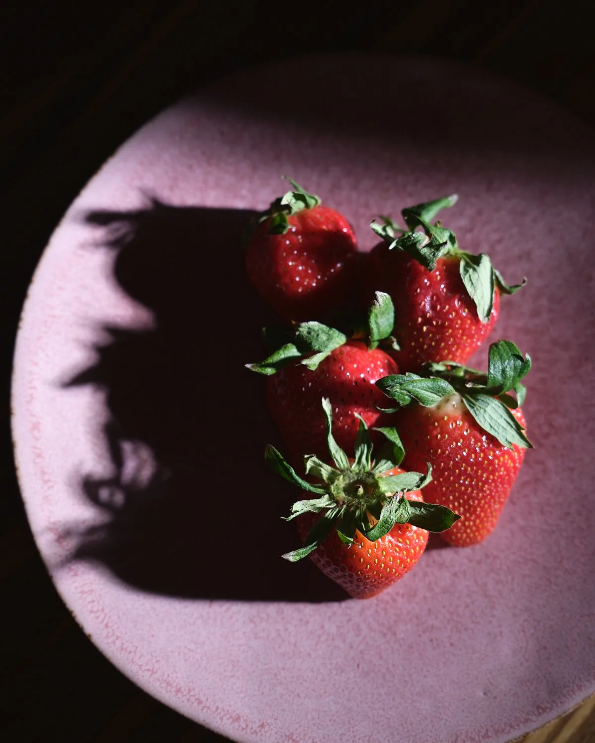 Strawberries on a pink plate lit with a hard light, food photography