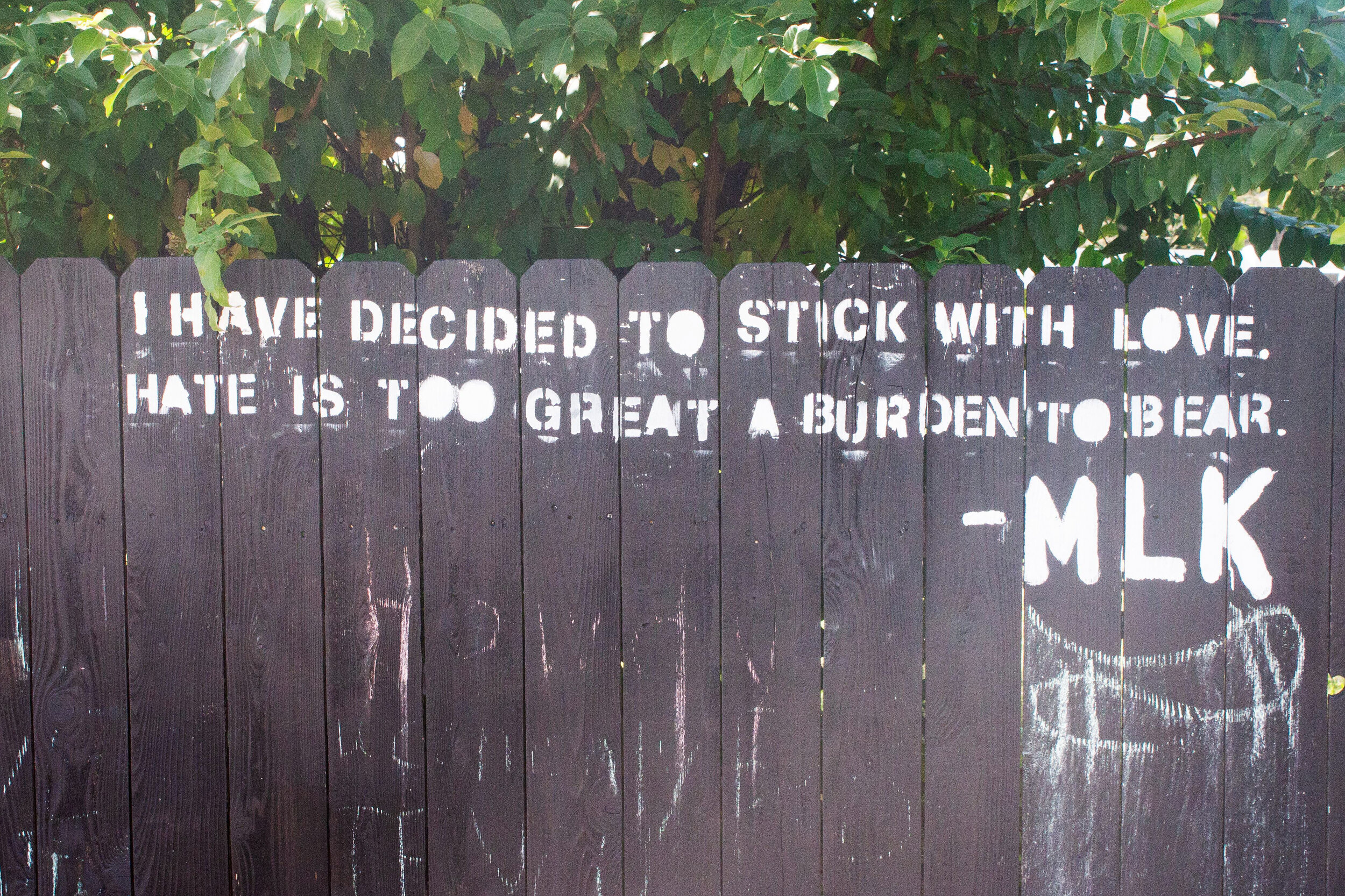MLKquote copy.jpg