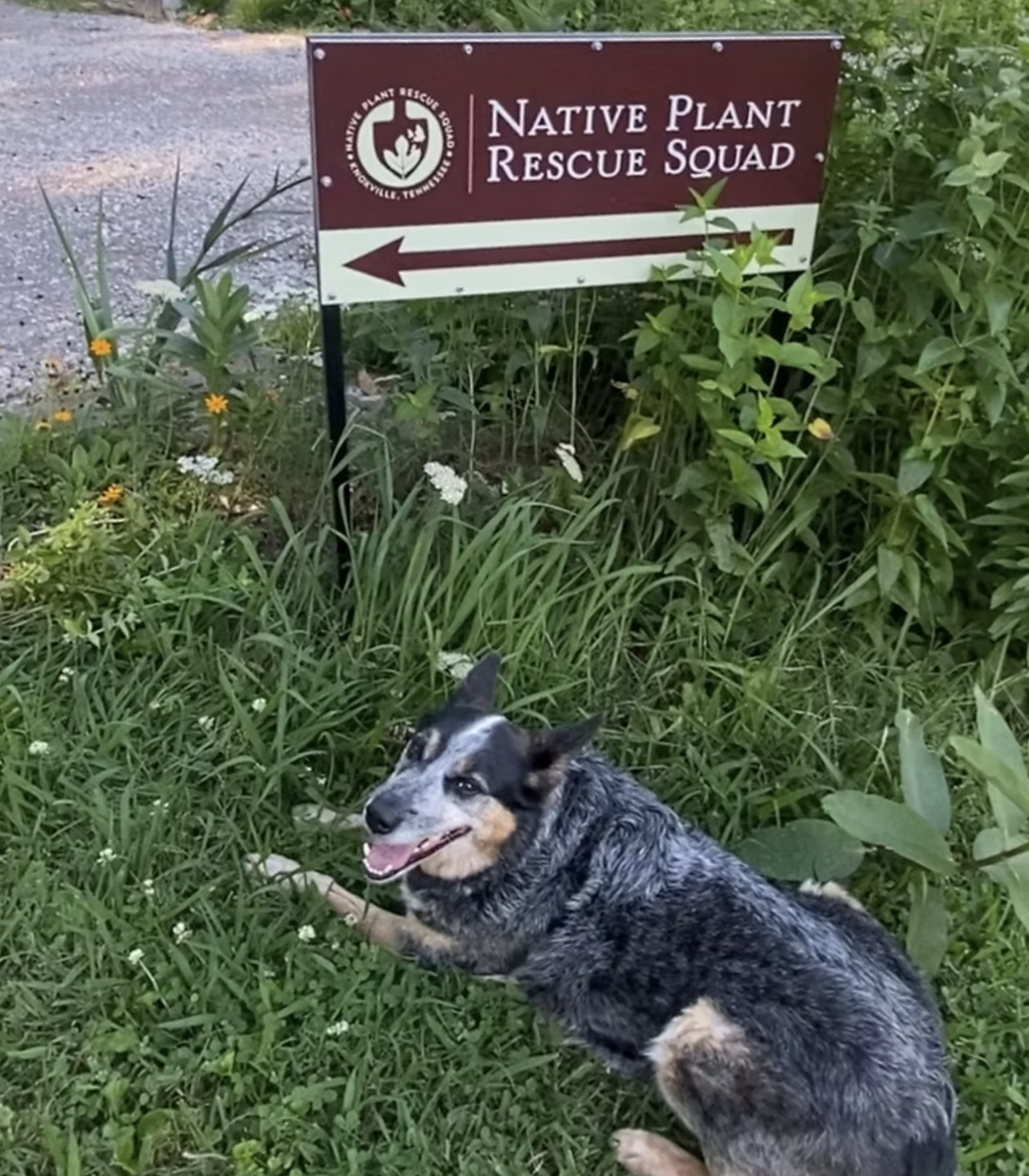 Continuing Education Rides: Native Plant Rescue Squad