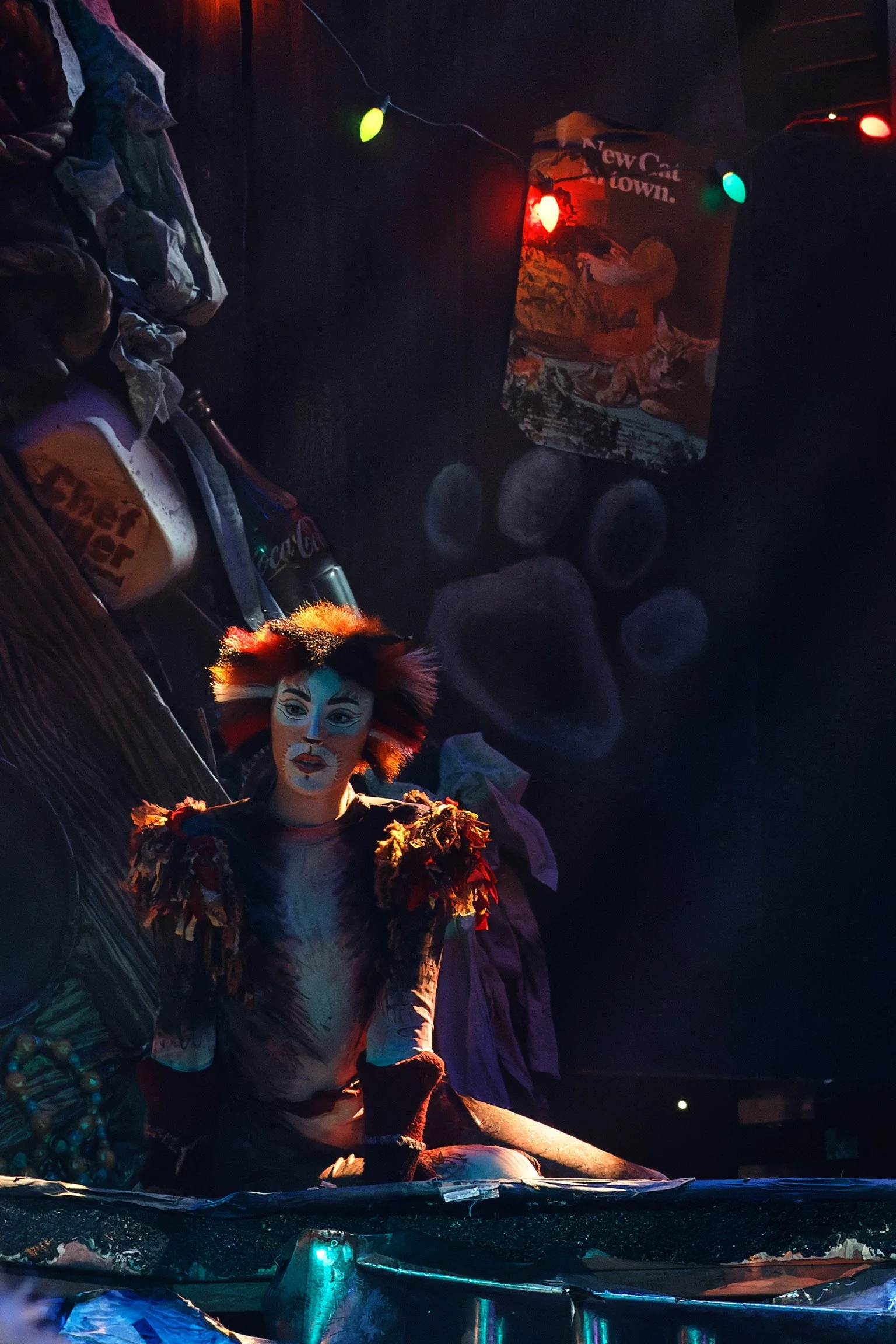 CATS - KBT - 015.jpg