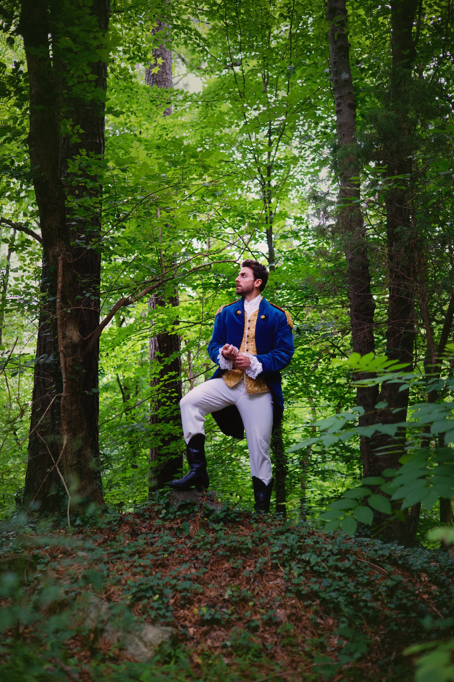 Colt in the woods.jpg
