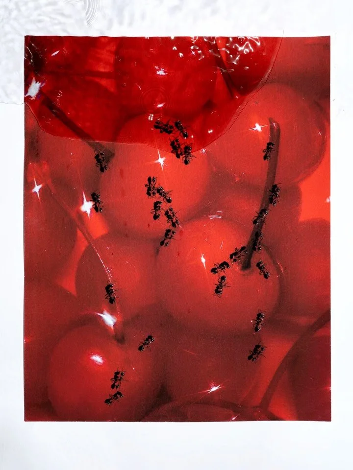 I am still amazed that @hahnemuehle_imaging archival prints can withstand multiple rounds of submerging. I had to reshoot this pattern 3 times, 3 times print was submerged and dried. If this is not a proof of durability, I don&rsquo;t know what is. 
