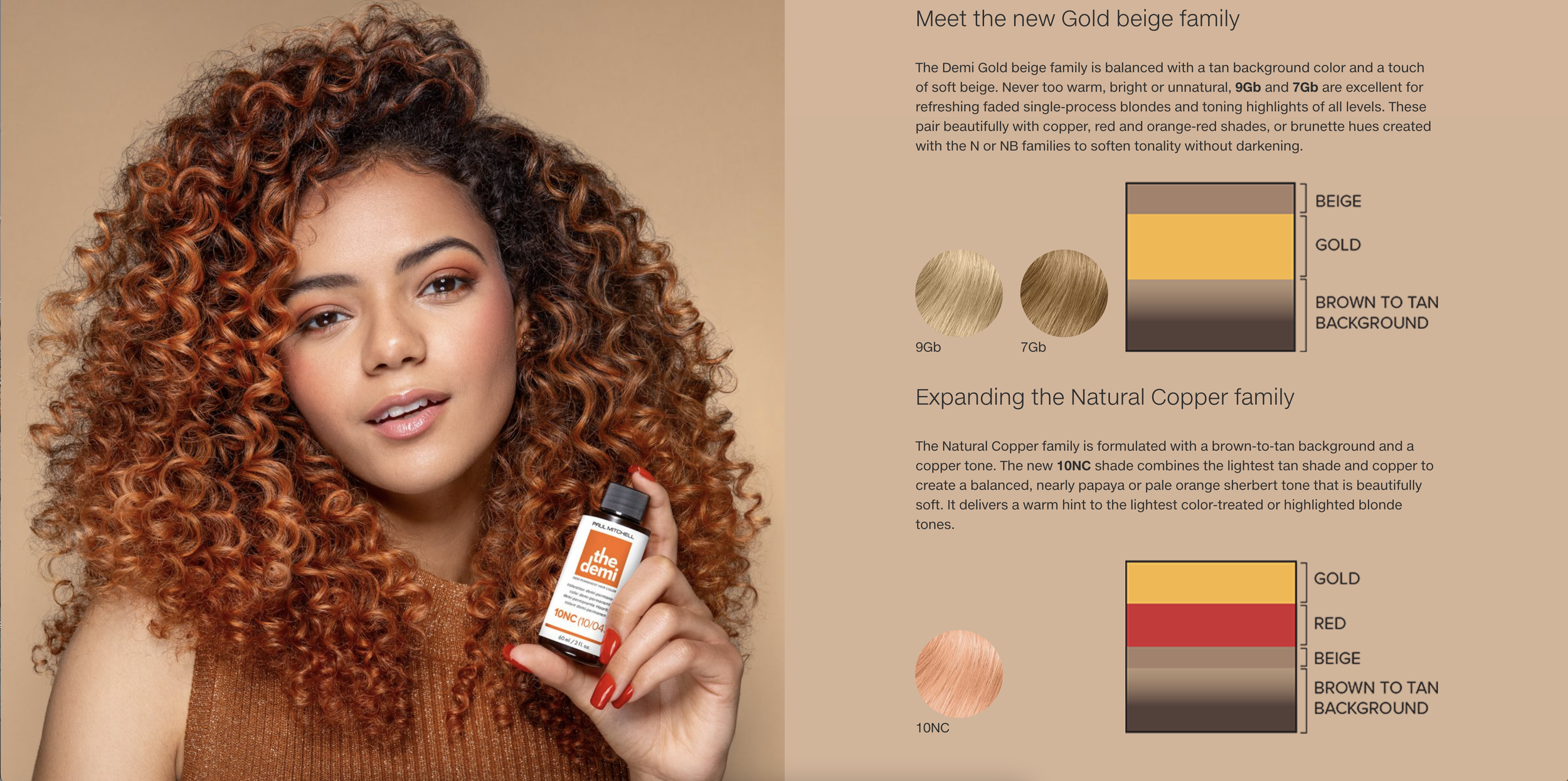 Screen Shot 2024-10-26 at 11.27.49 AM.png