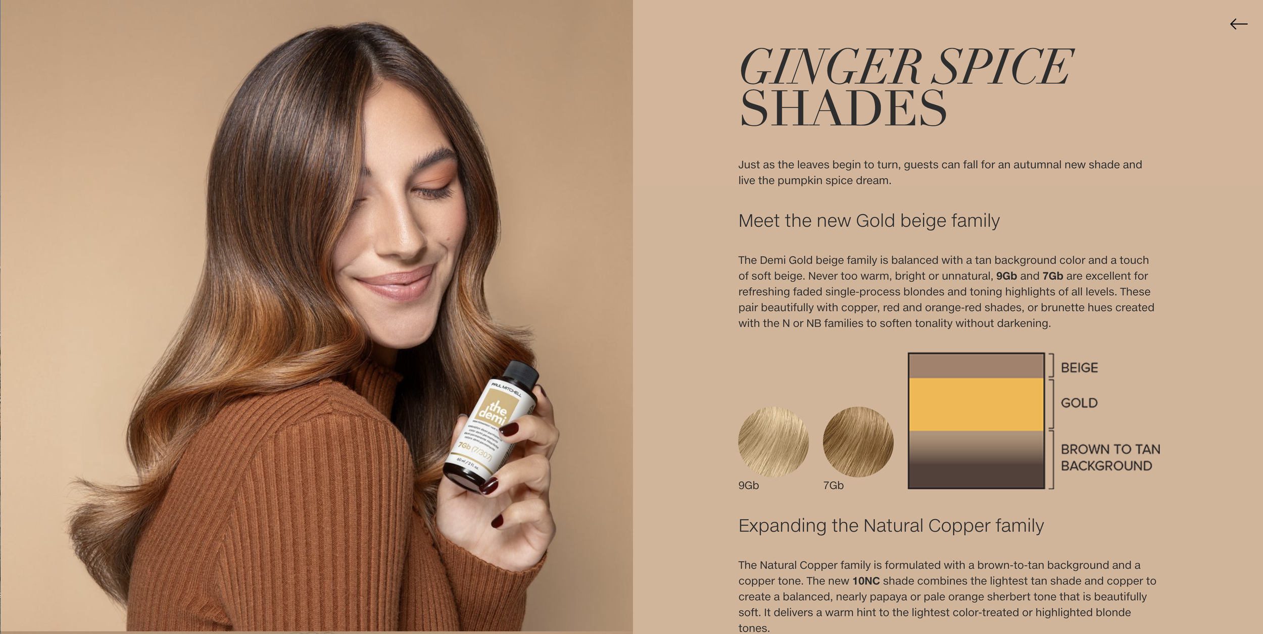 Screen Shot 2024-10-26 at 11.27.23 AM.png