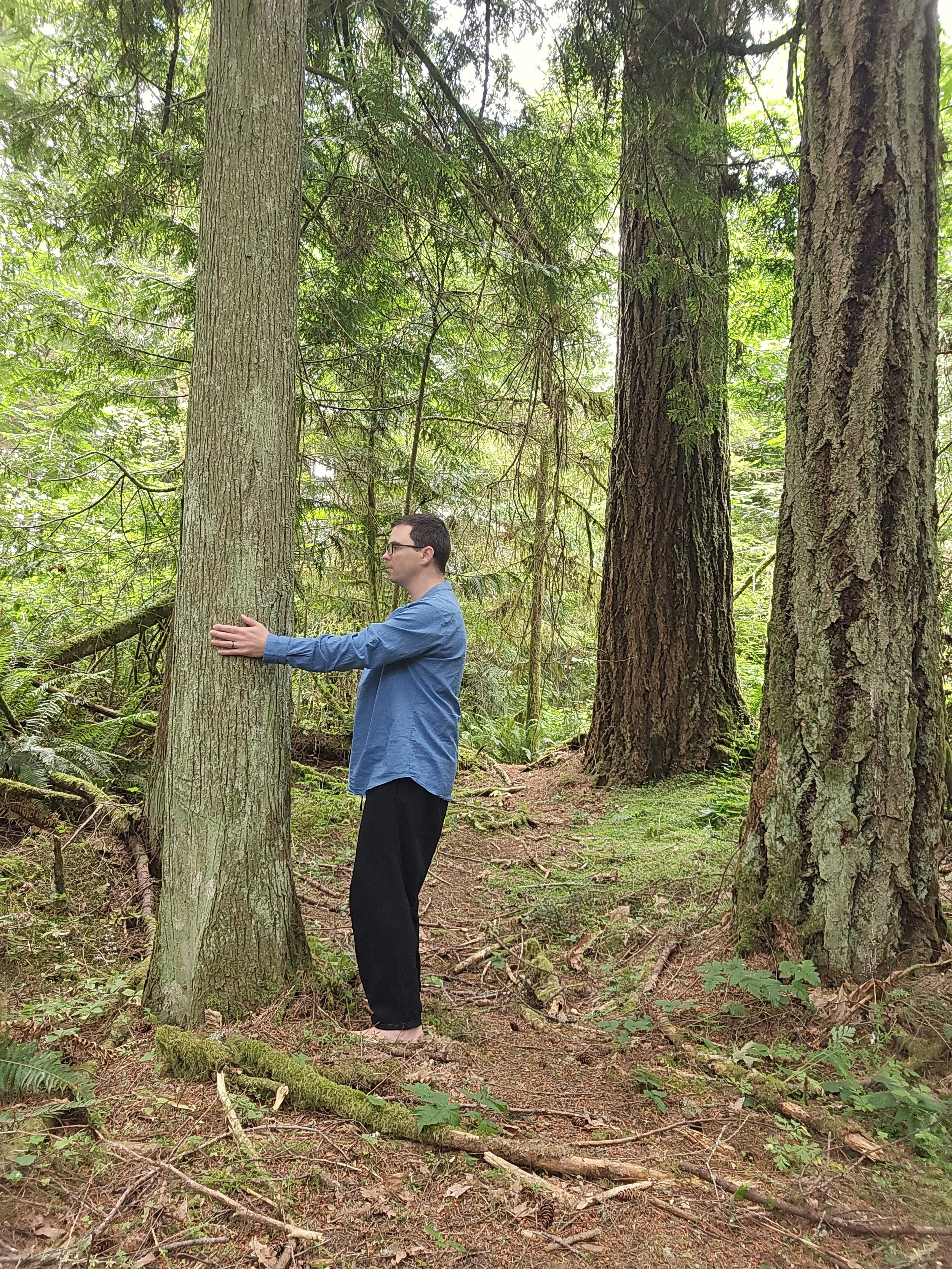 A person standing in a forest, hugging a large tree trunk surrounded by tall trees, green foliage, and forest floor with moss and plants.