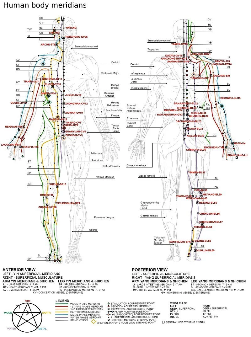 Diagram of human body meridians showing superficial and Yang meridians on front and back of the body, with labels and color-coded lines representing different meridian paths, acupressure points, and anatomical references.