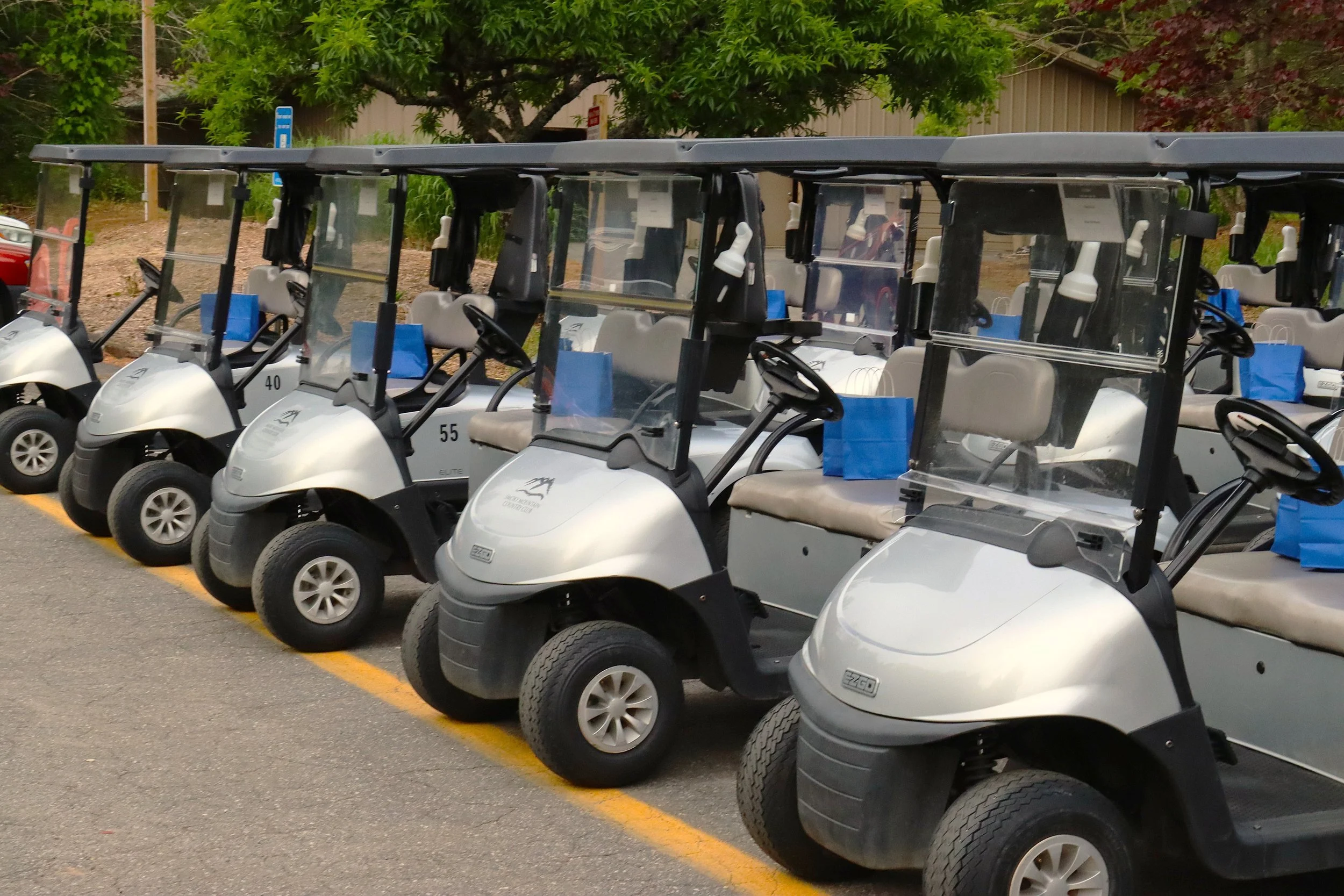 Golf Carts with Goodie Bags.JPG