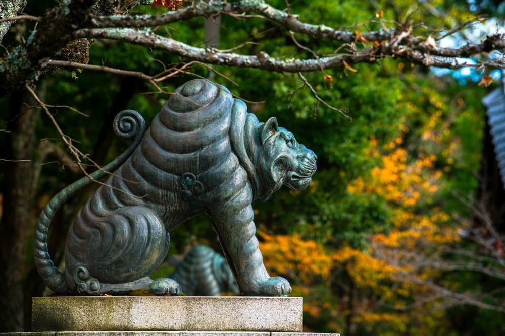 Tiger on Kurama Medium-2.jpg