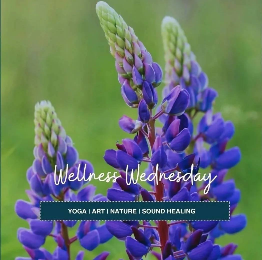 Wellness Wednesday
