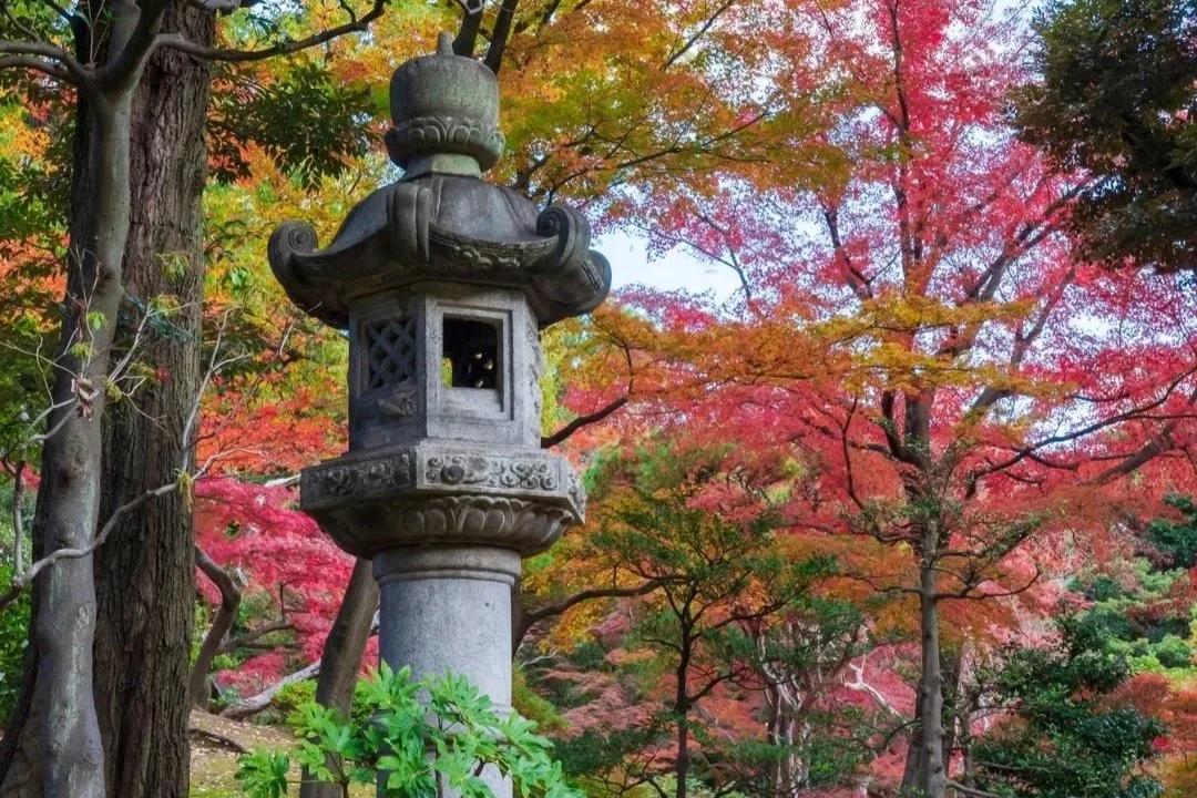 Okuden (Reiki II) Course - In Person