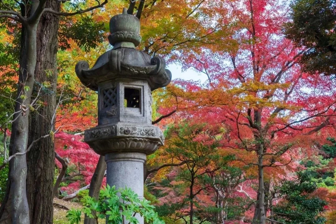 Okuden (Reiki II) Training - Online