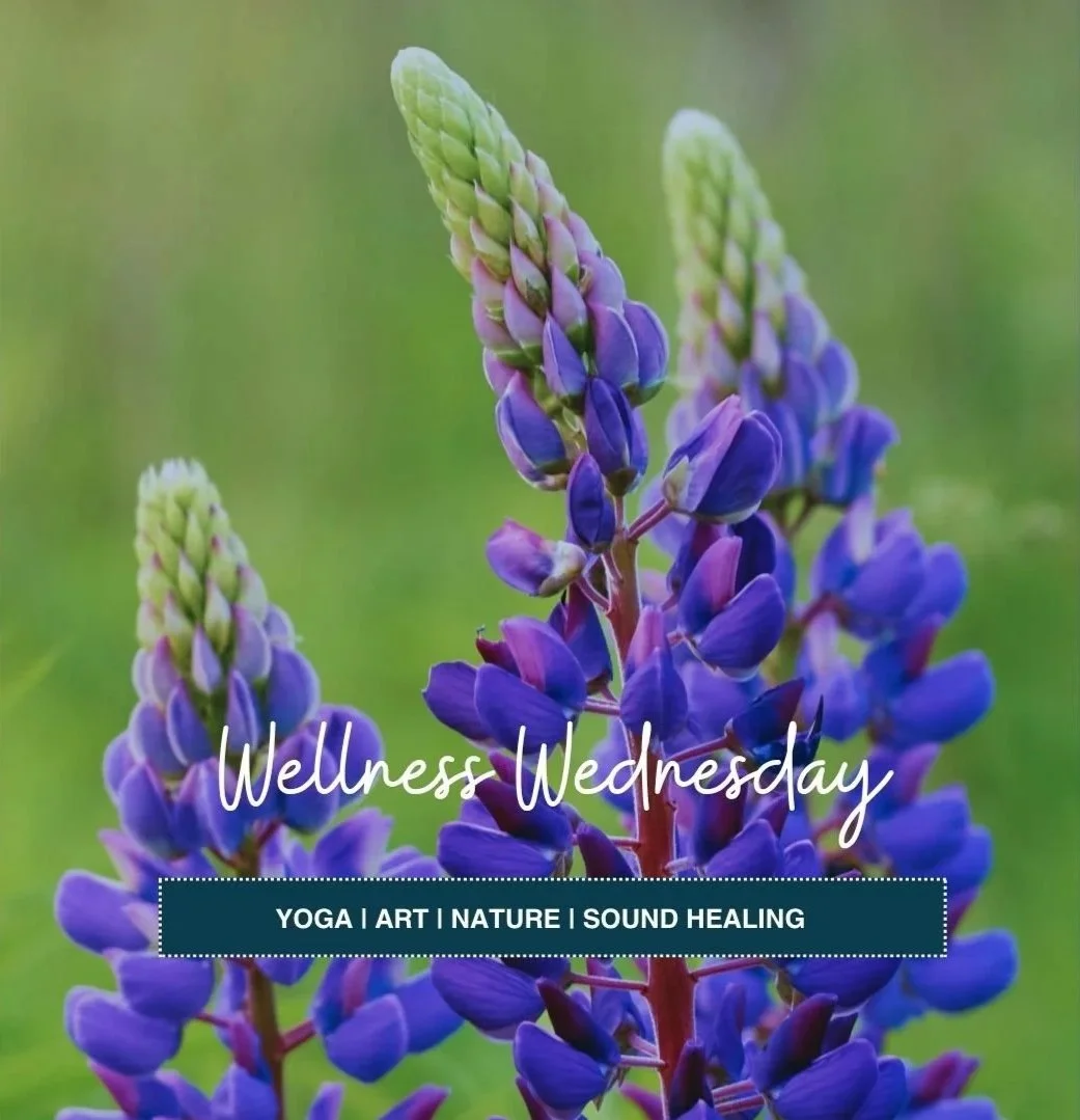 Wellness Wednesday