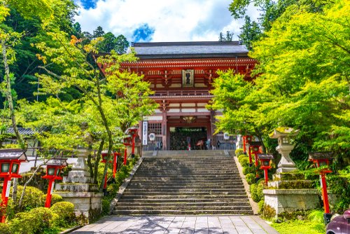 Stairway into the birthplace of Reiki: Mt. Kurama, Japan