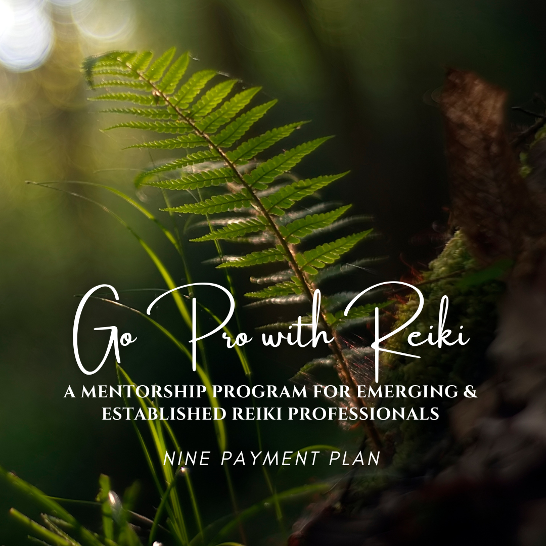 Register for Go Pro with Reiki