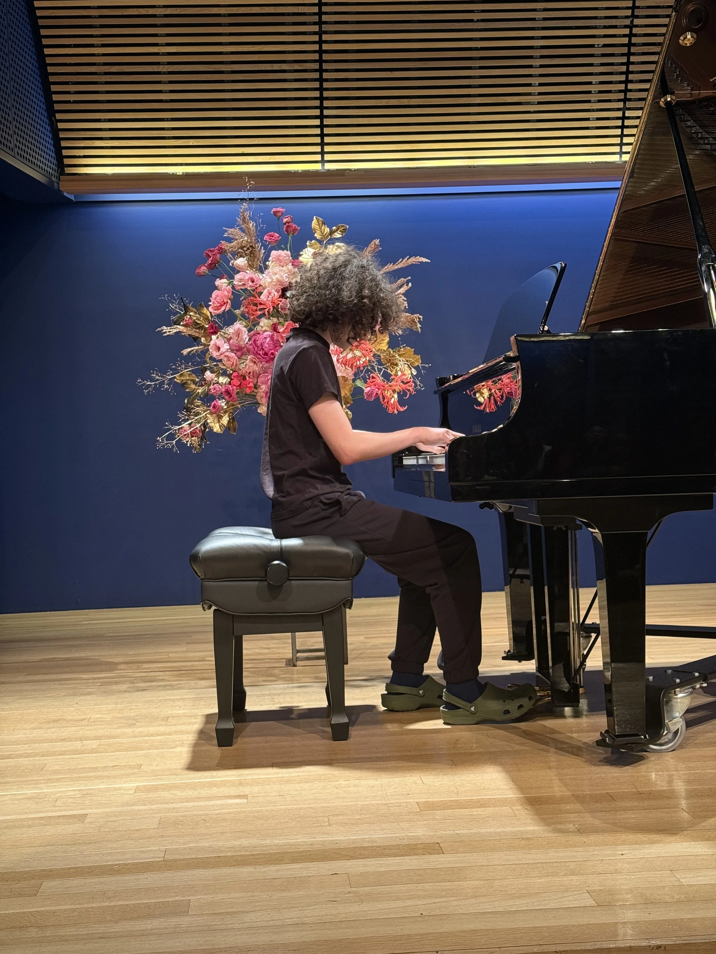 Acoustic Piano Benefits!