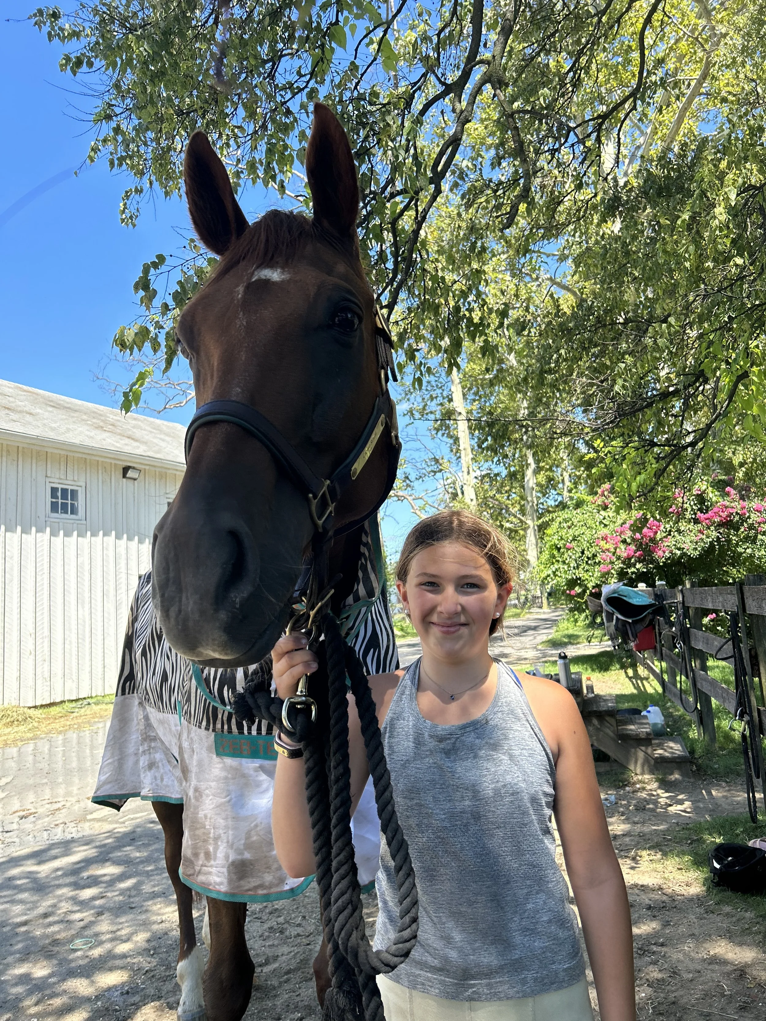 Summer Camp — Morningside Stables, LLC